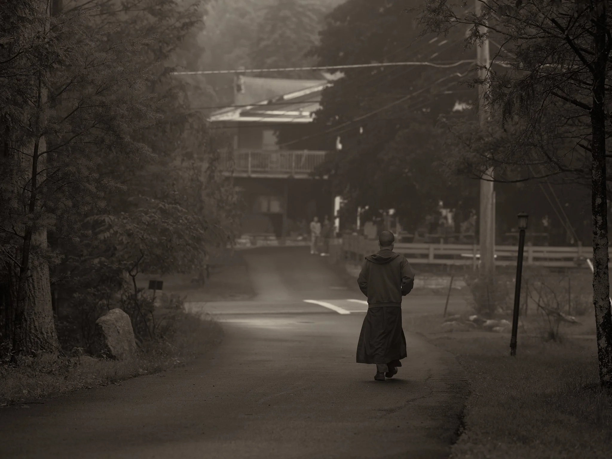 Walking 9.jpg