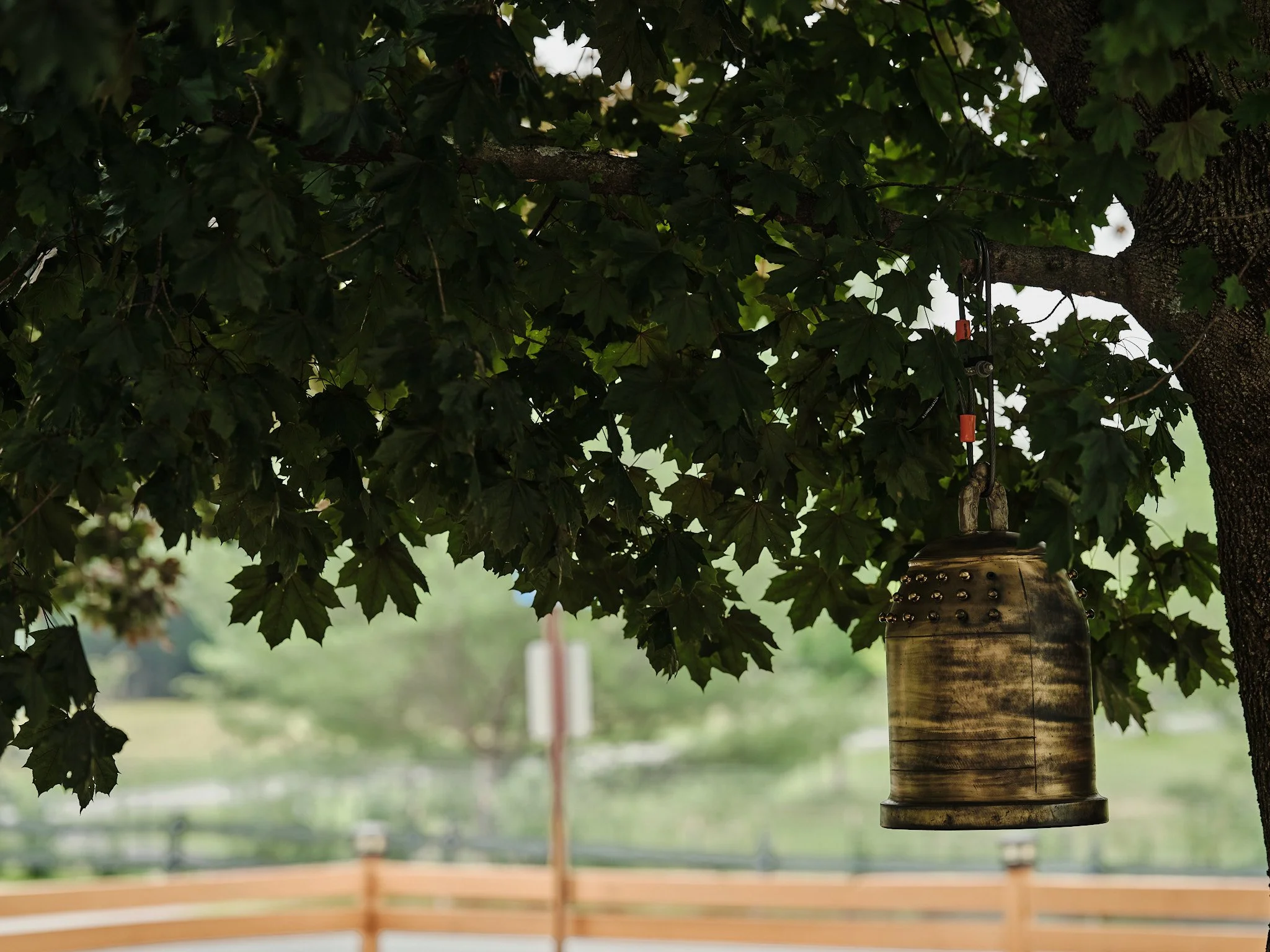 Bell.jpg