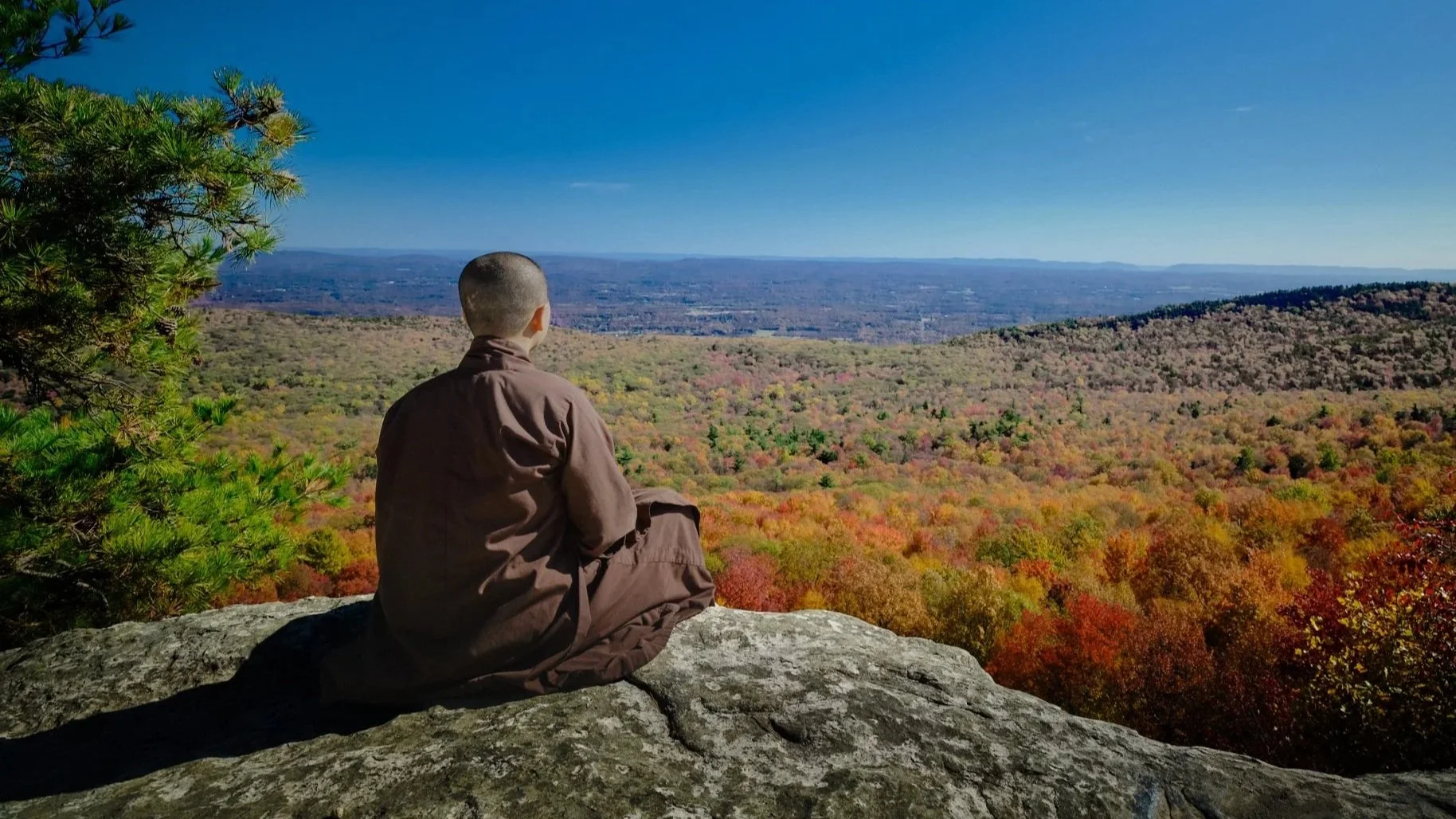 overlooking.jpg
