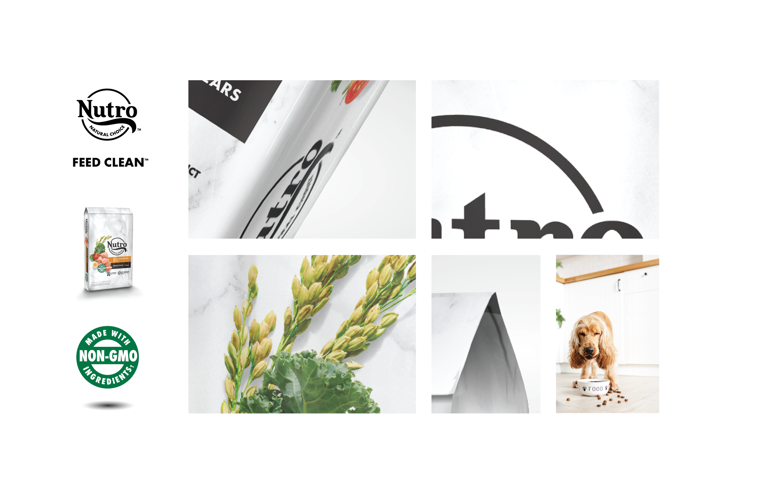 NUTRO-20008_Concepting_BarRaised-01.png