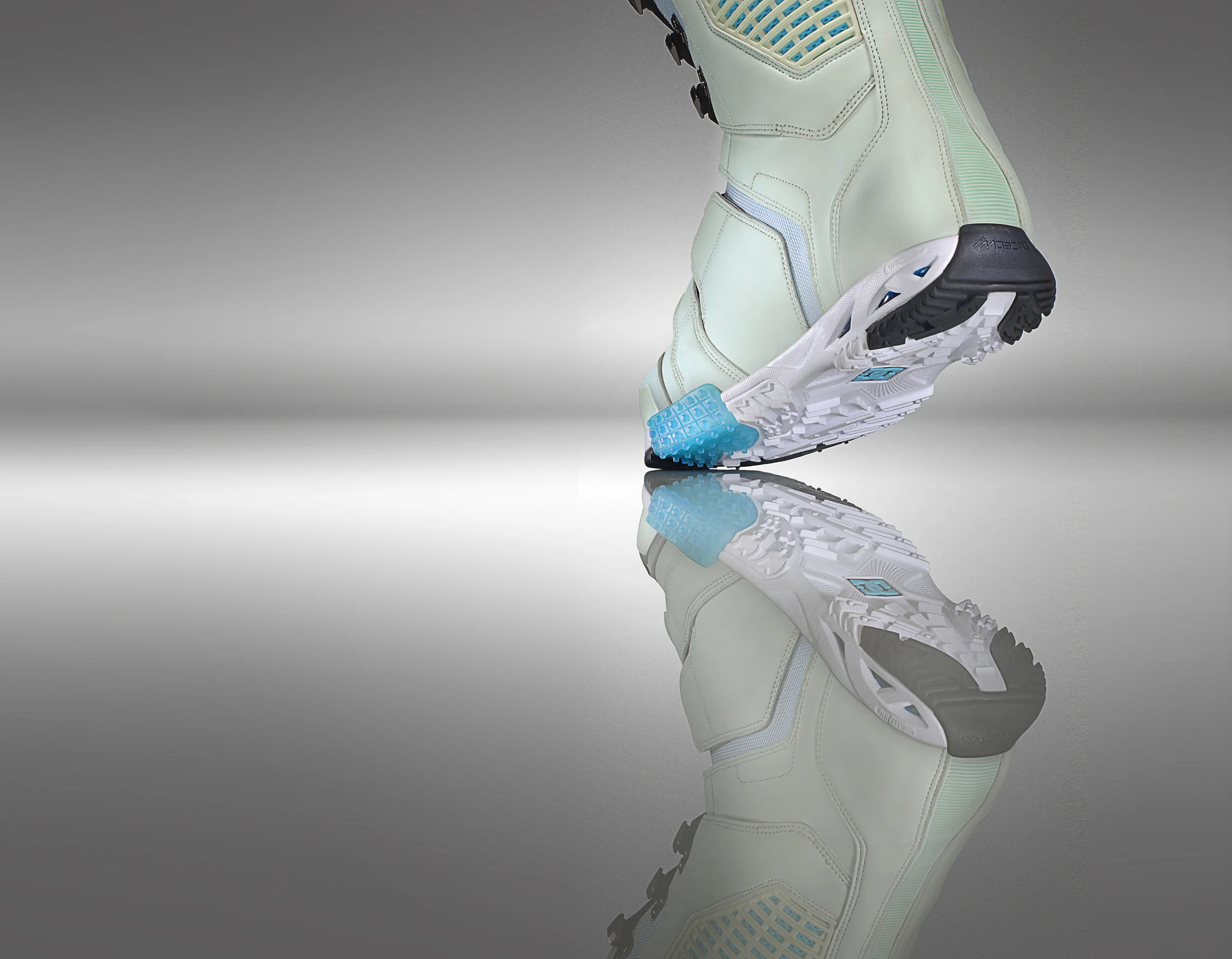 Mint_boot.jpg