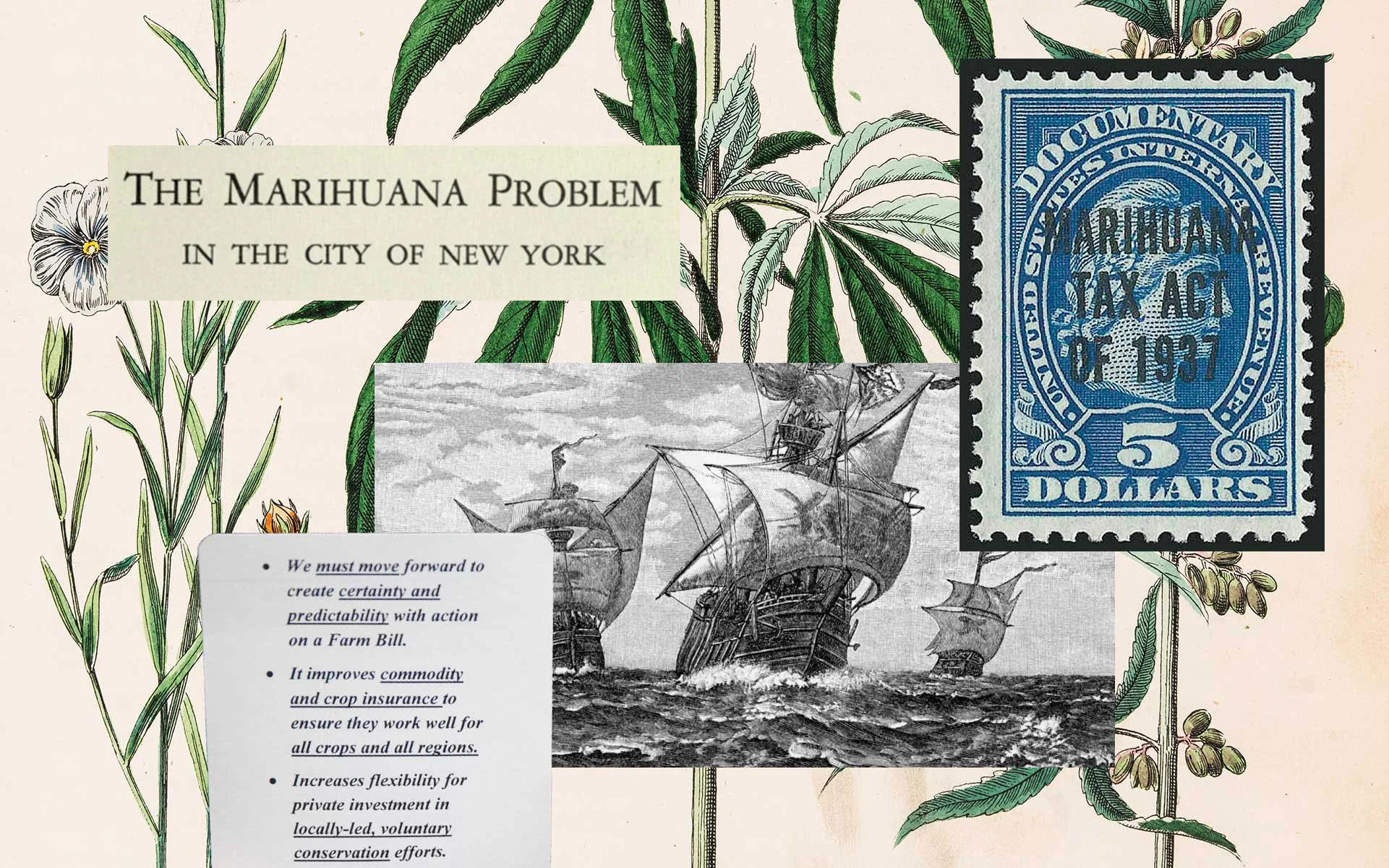 a-history-of-hemp.jpg