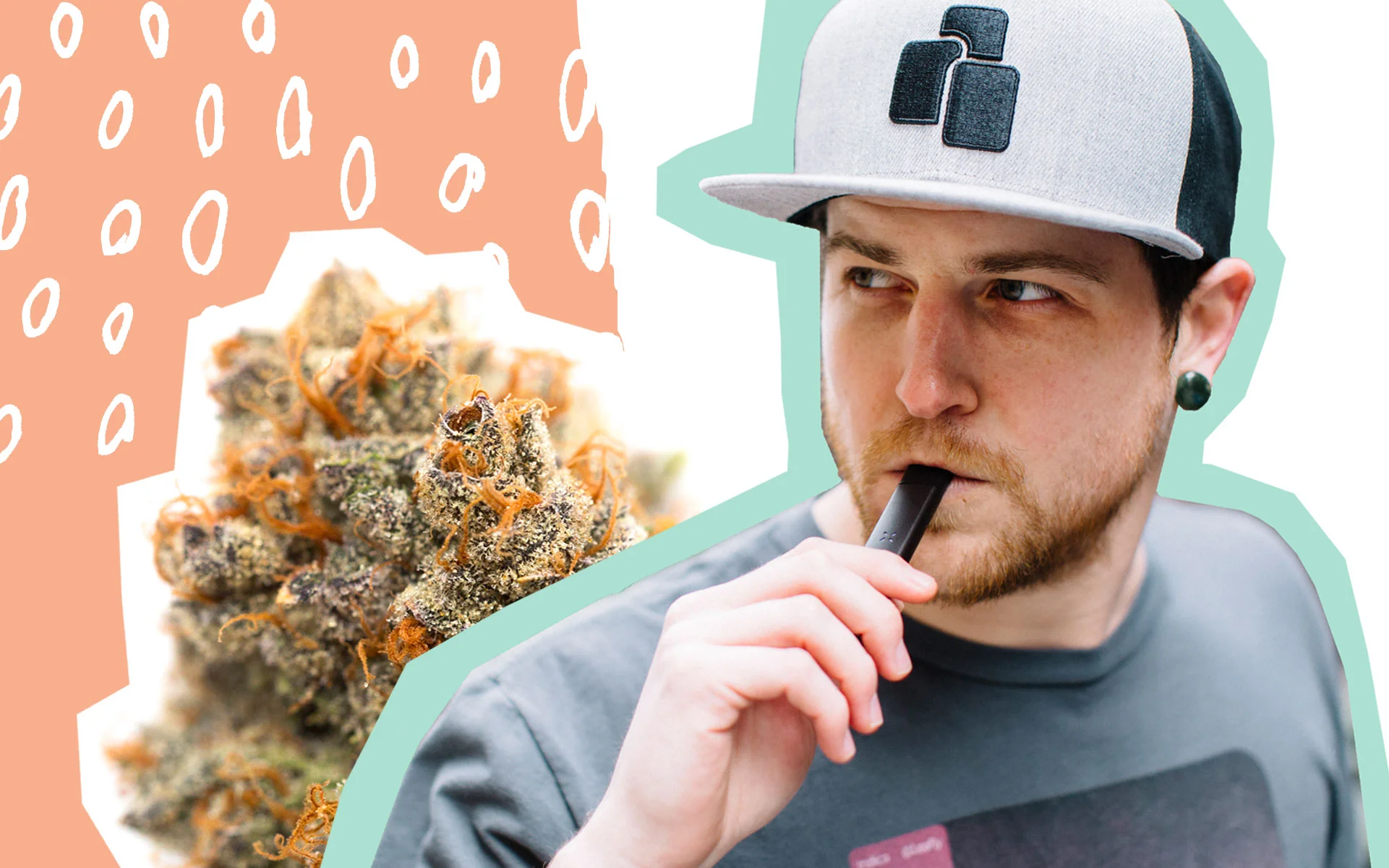 leafly-faves-intro.jpg