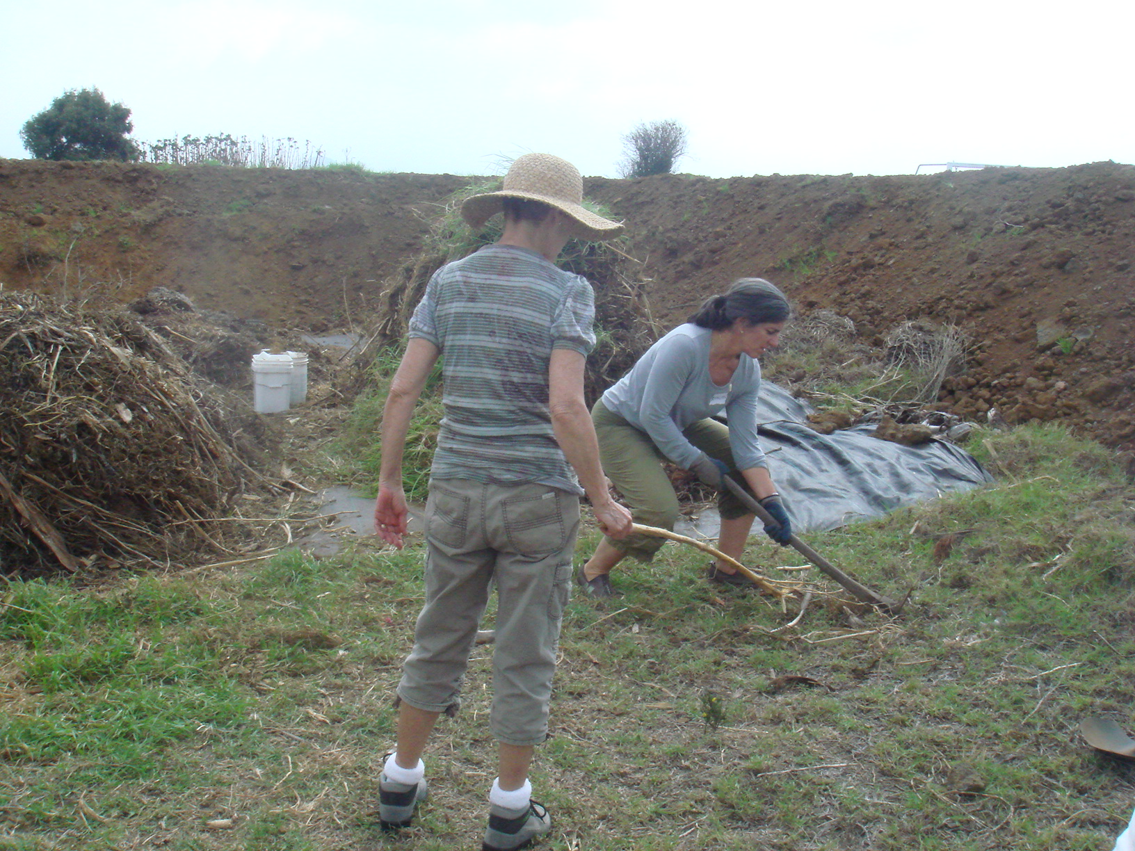  Coaching a client on gardening movement 