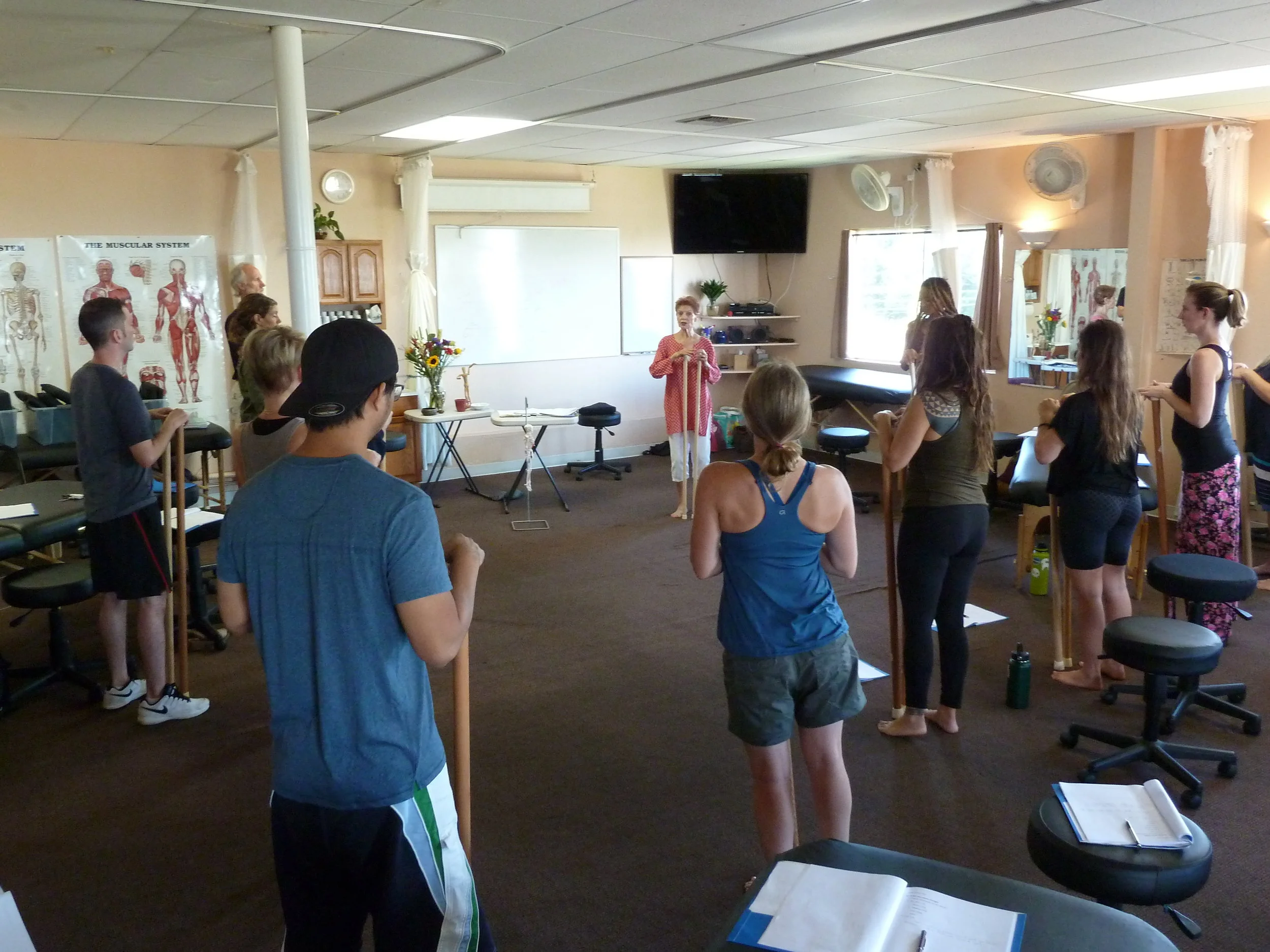 Aston® Postural Assessment, Two Day Training, Salt Lake City, UT
