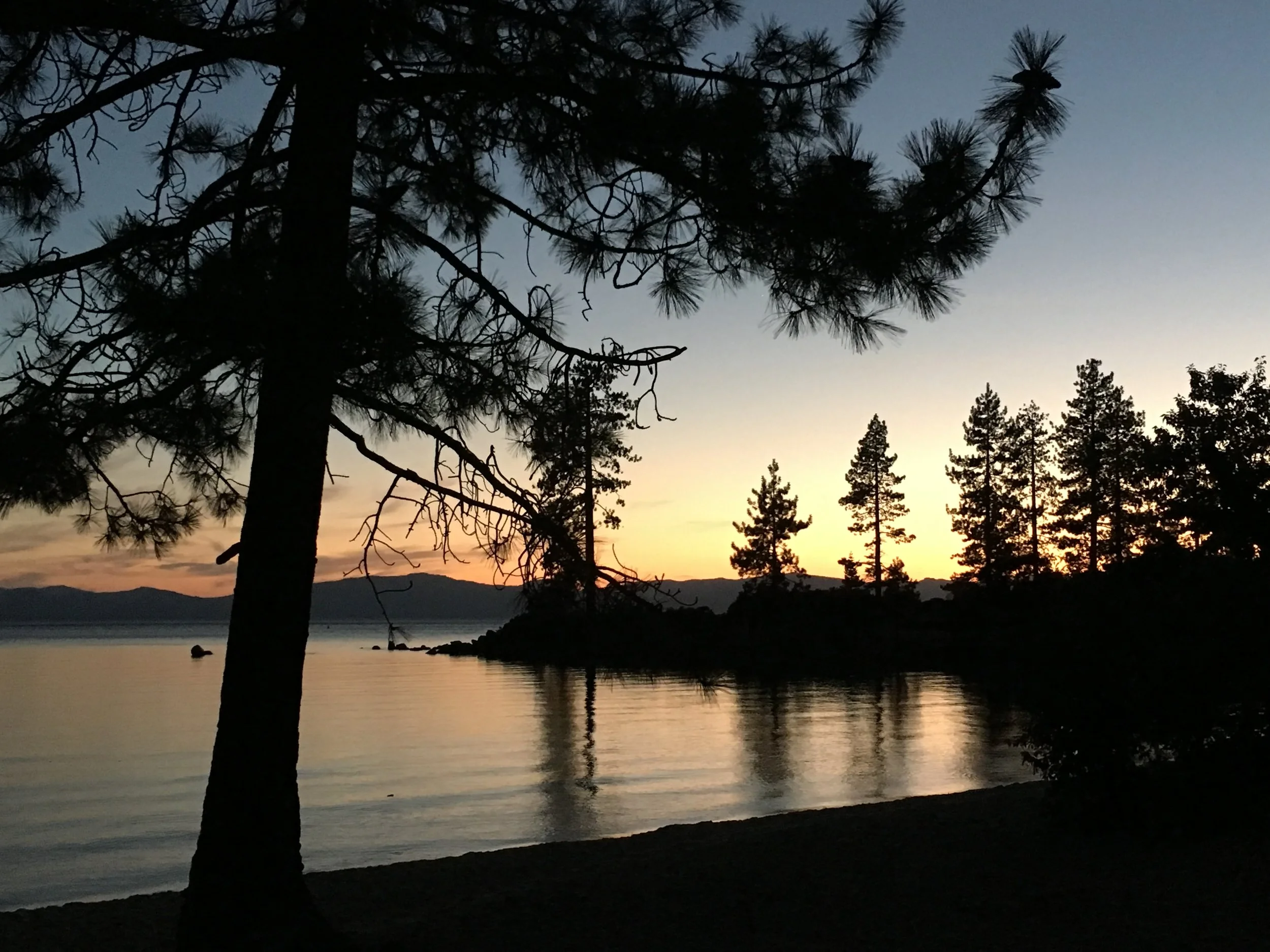 IMG_1059 copy.JPG