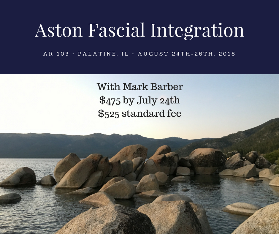 Aston Fascial Integration: Aston Kinetics 103 in Palatine, IL
