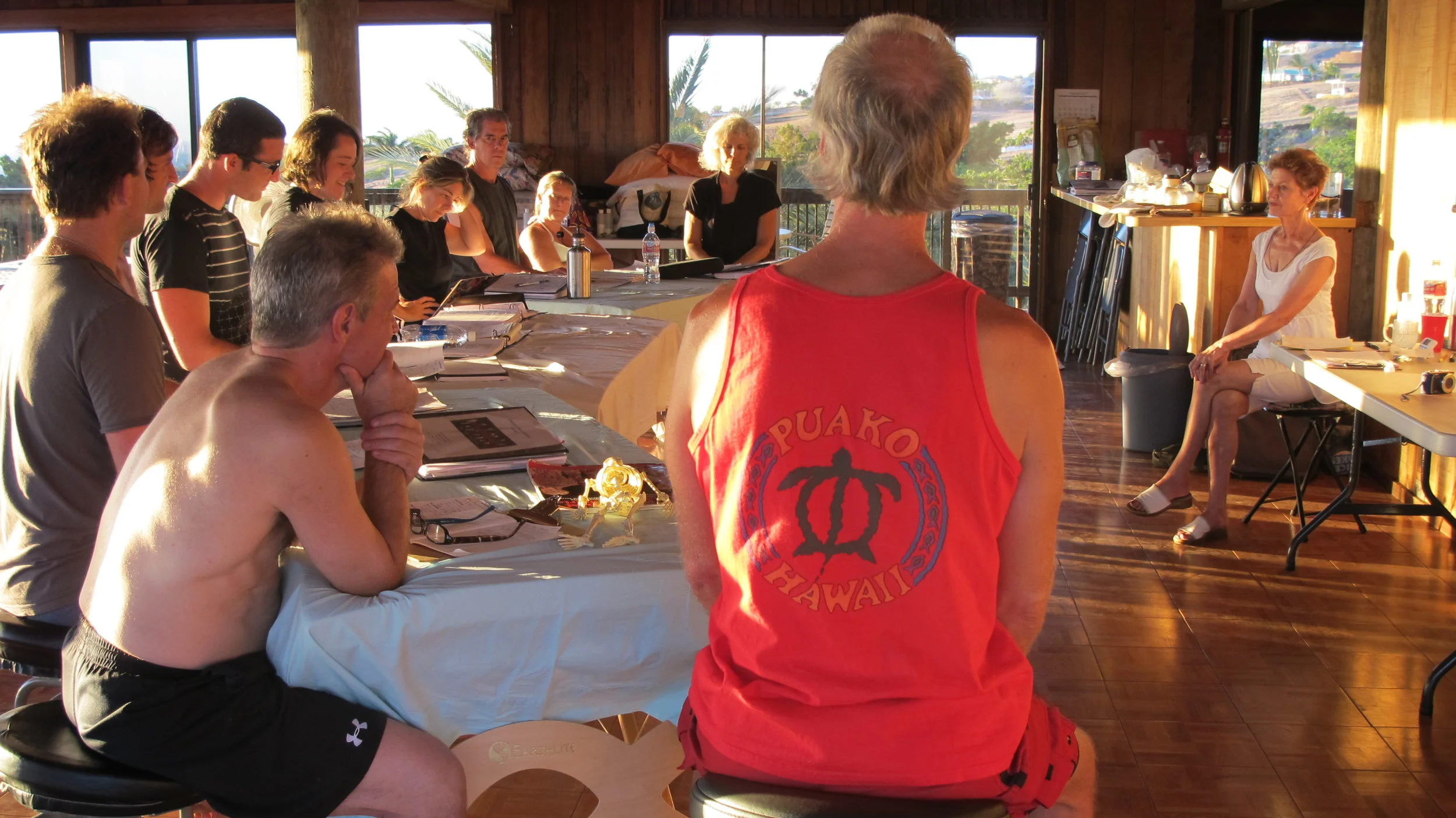 Aston Fascial Integration: Aston Kinetics 103 | Maui, HI