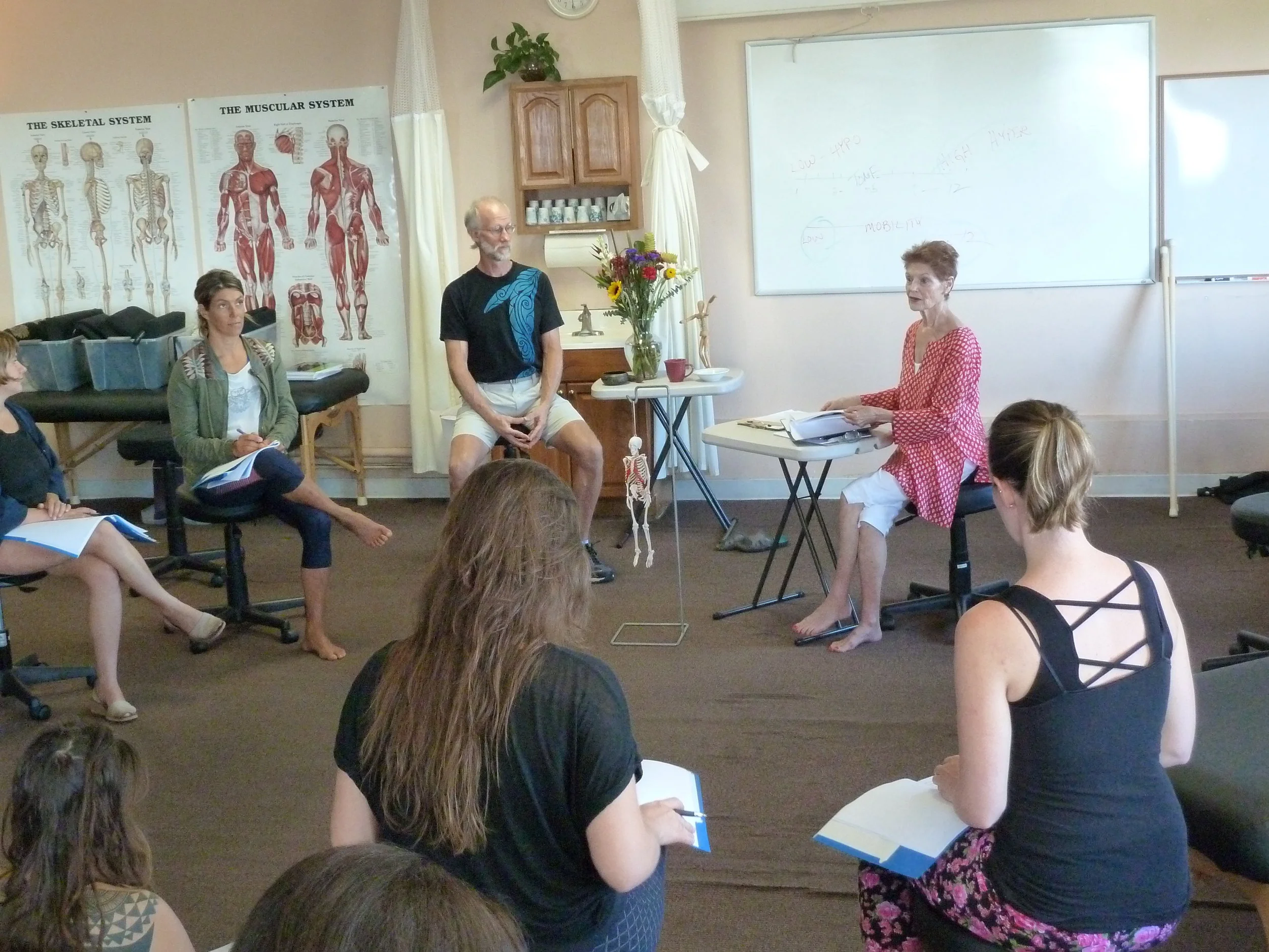 See | Move | Feel with Aston® Techniques: a 3-day Introduction to Aston Kinetics 