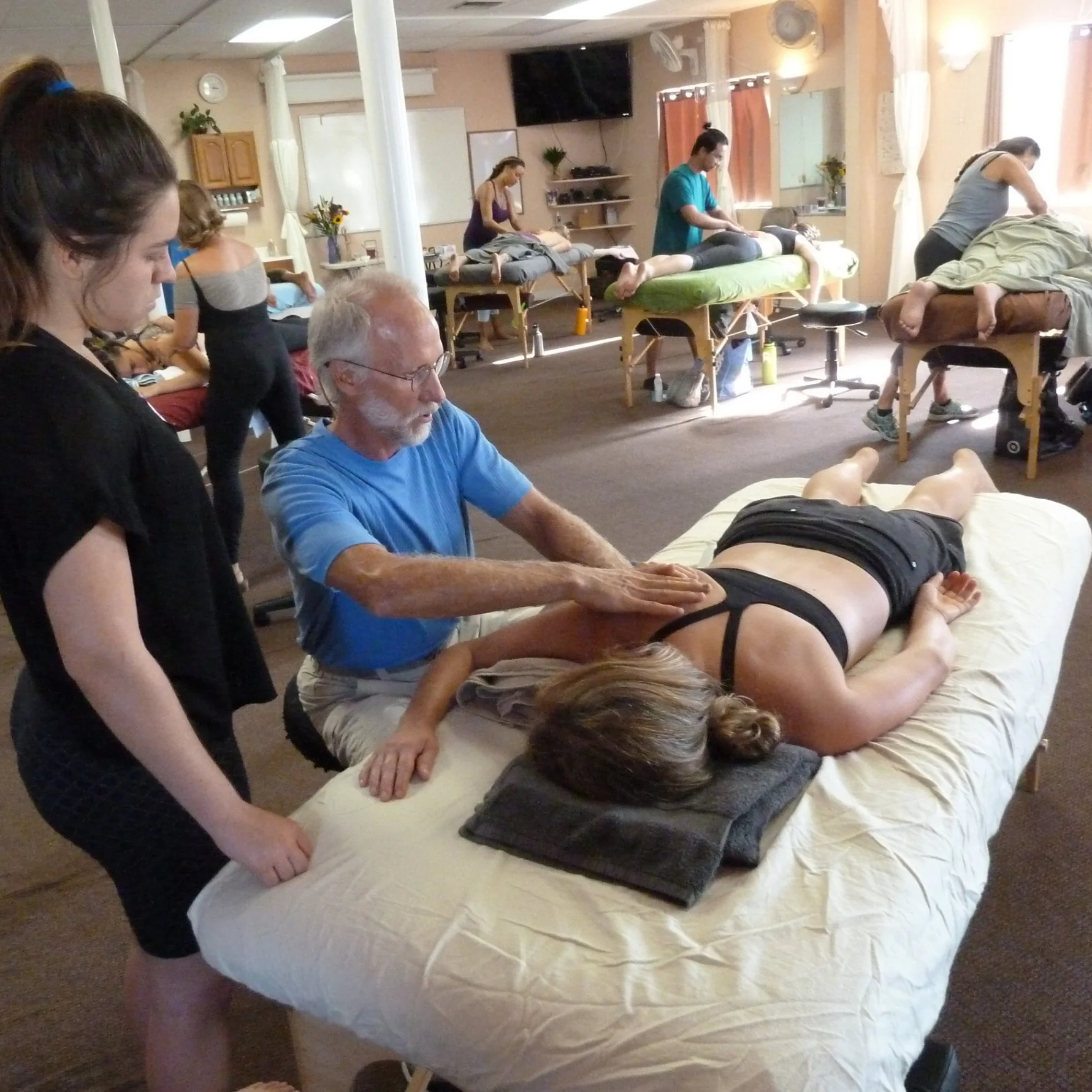 Aston Fascial Integration: AFI 301 - Live In-Person - 4 Day Class - Island of Hawaii