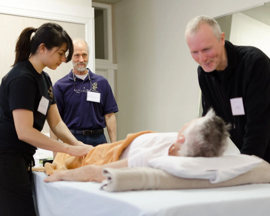 Aston-Patterning® Practitioner Certification Training*