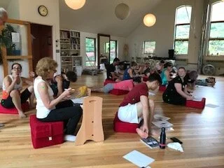 Aston® Postural Assessment: APA 101 Webinar