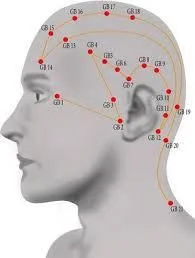 "DLPFC points" include GB 15,16 and 17. 