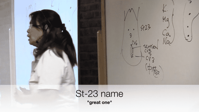 Kiiko's Kidney lecture-low.gif