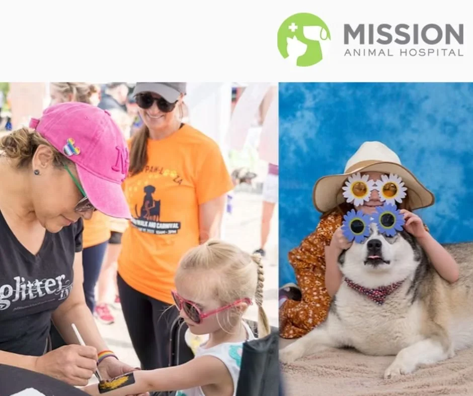 Mission Paw-looza Fundraiser for Mission Animal Hospital