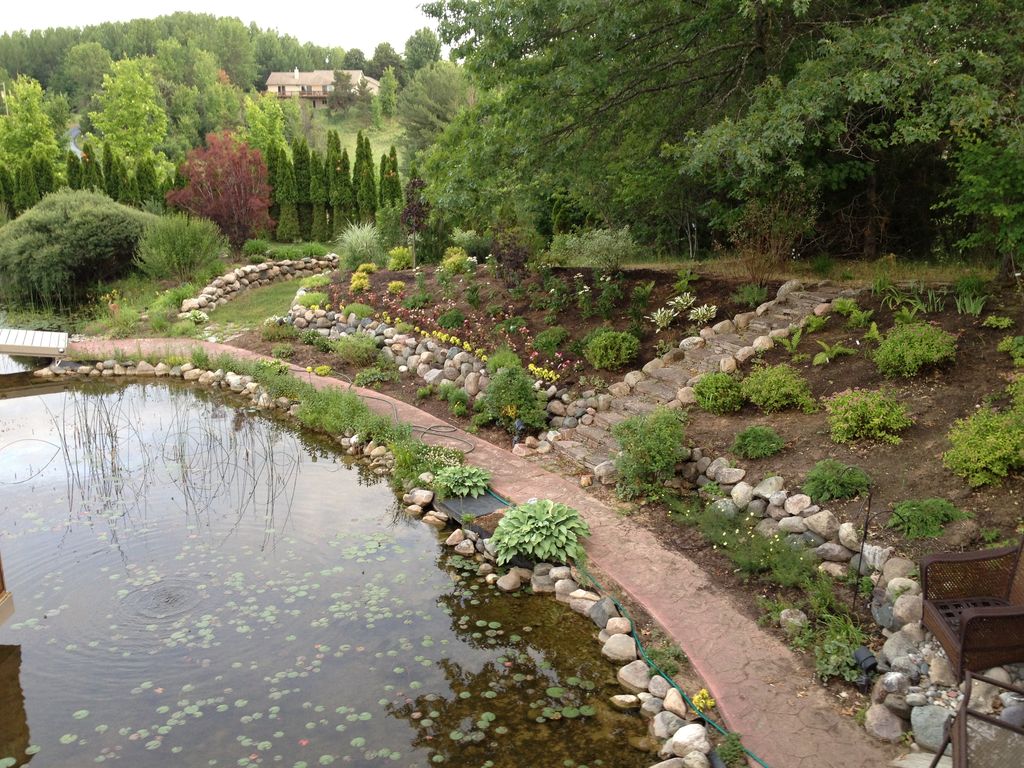 pond.jpg