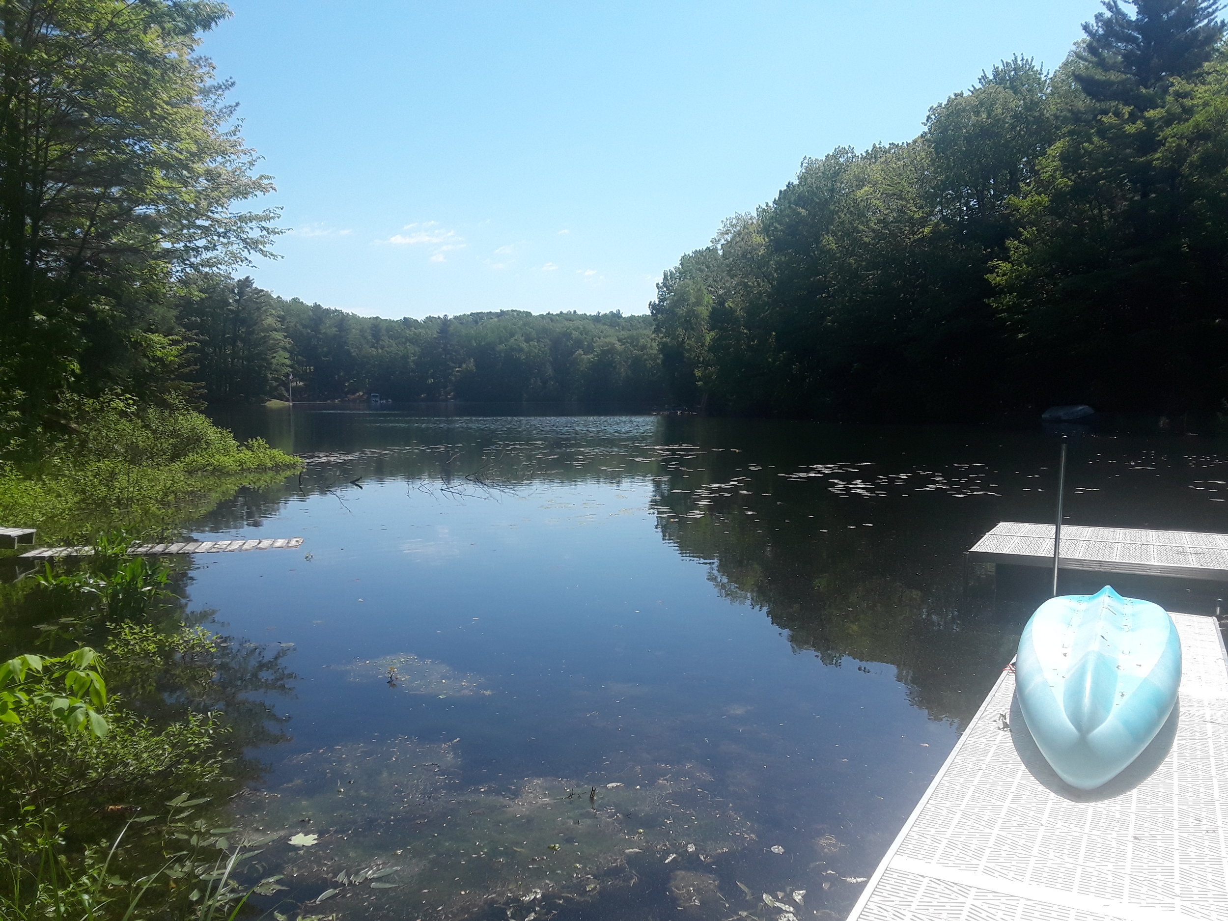 20190611_111908.jpg