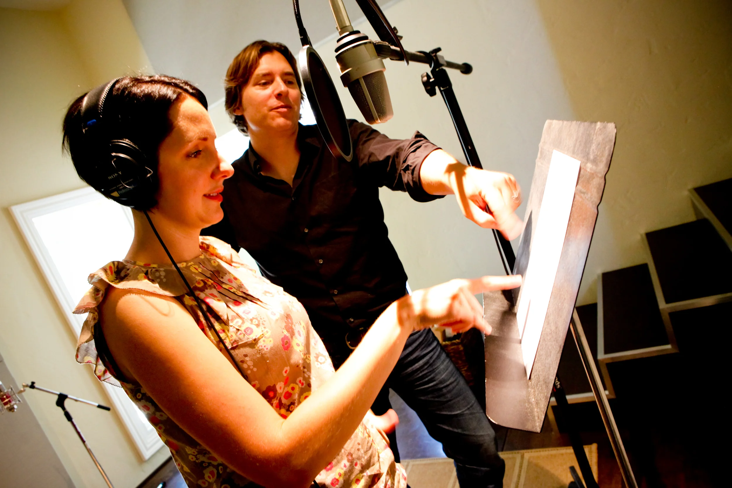 Access to professional musicians and voice-over artists.