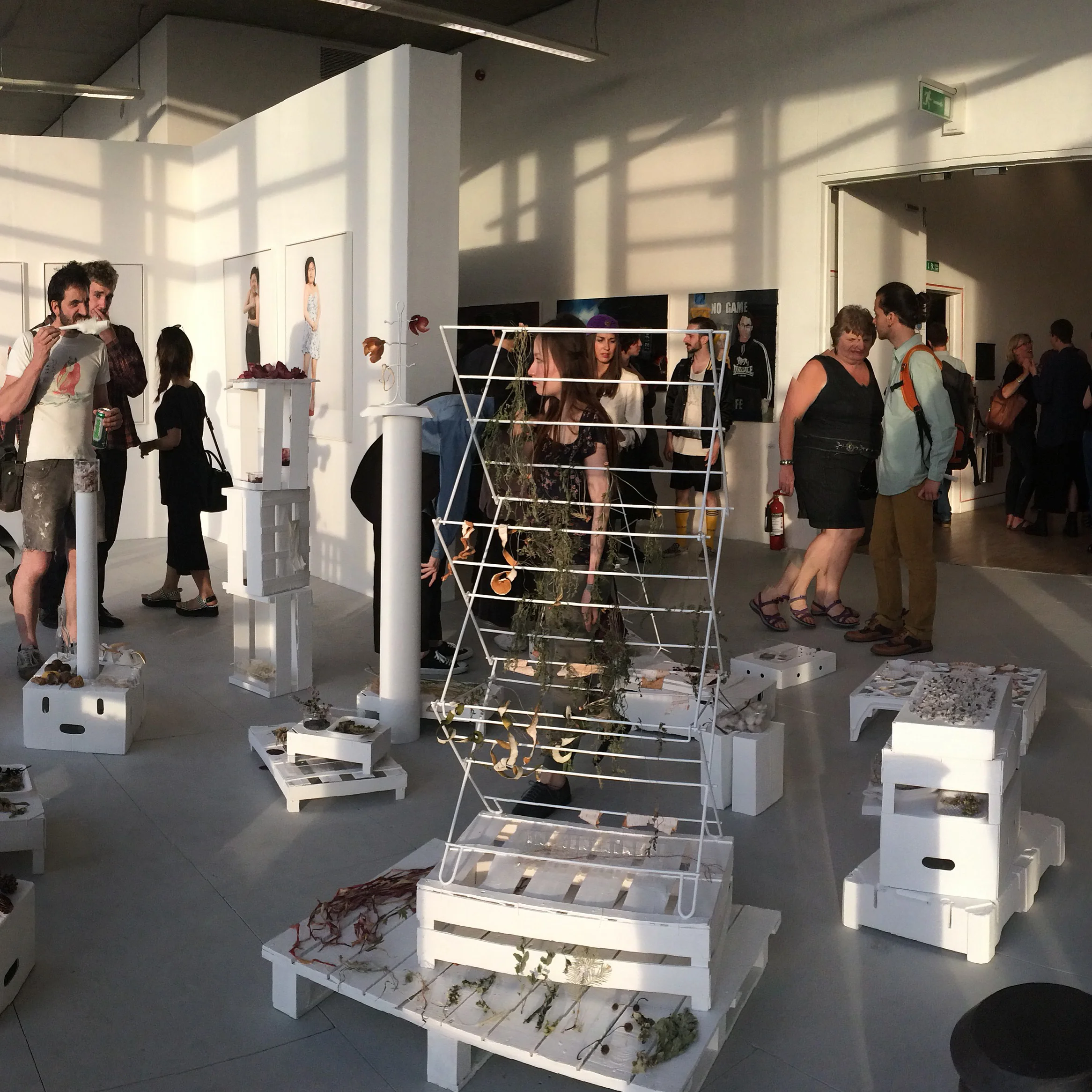 Installation by Moemi Takano