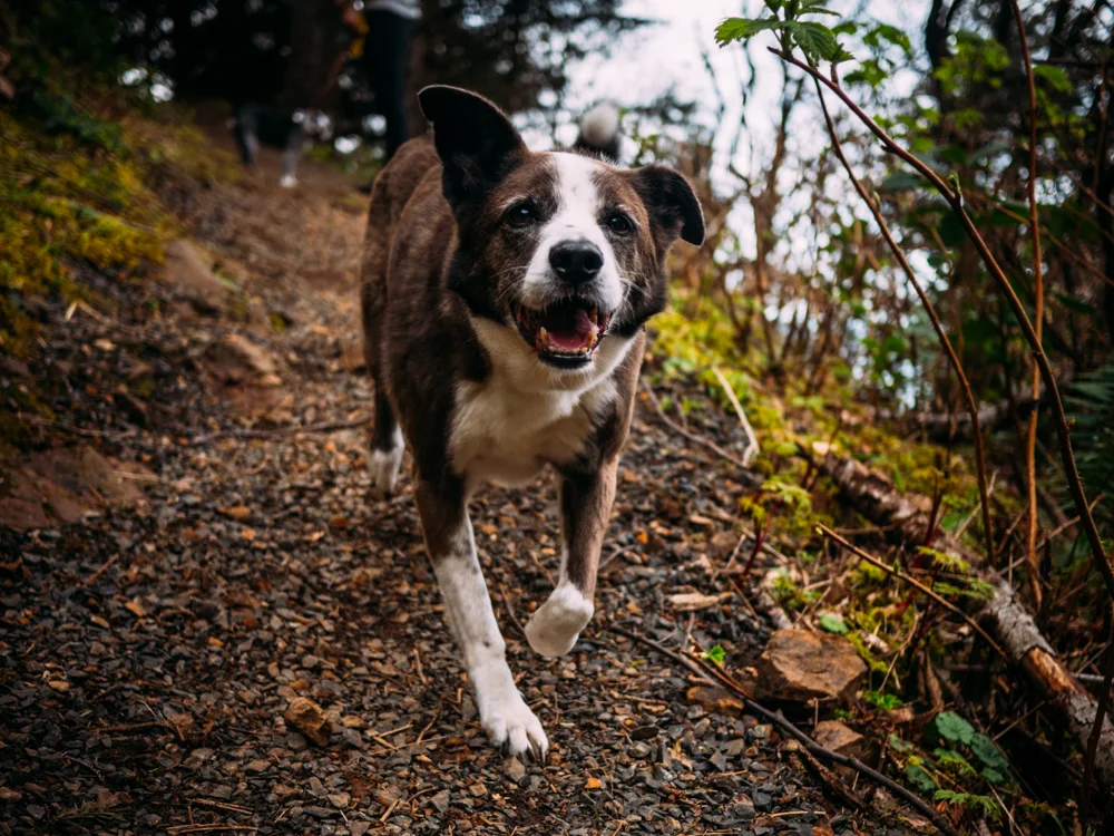 rf-com_Photography_Outdoor_SS-16.jpg