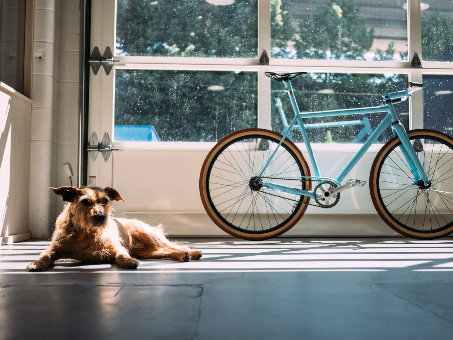 Speedvagen_UrbanRacer_WashPark-2SS_SquareSpace.jpg