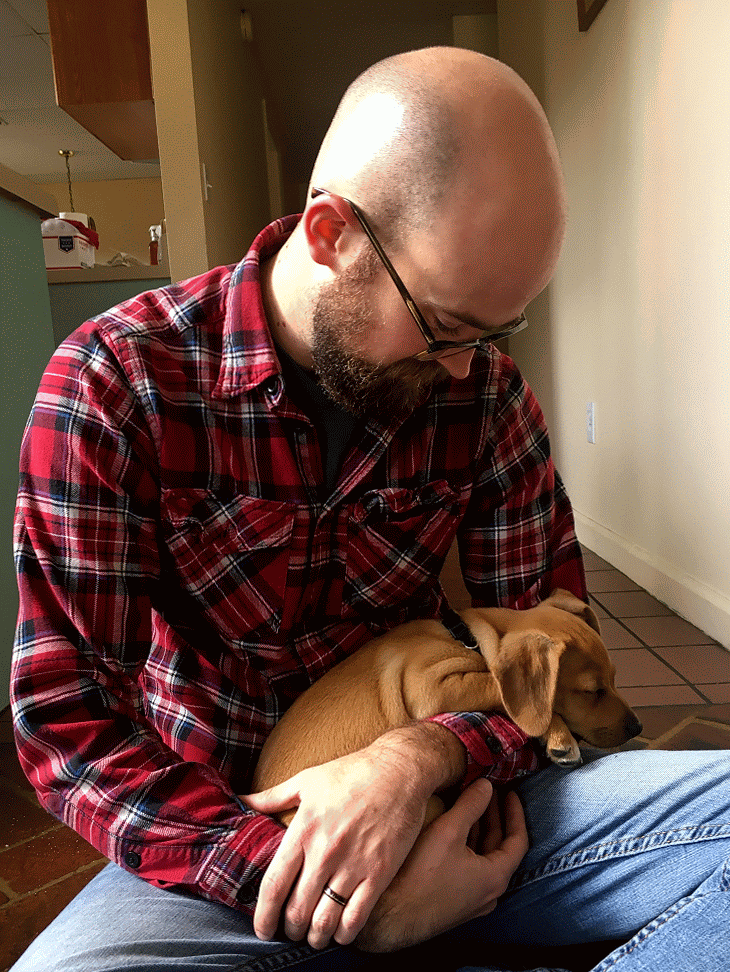 hound mix puppy.gif