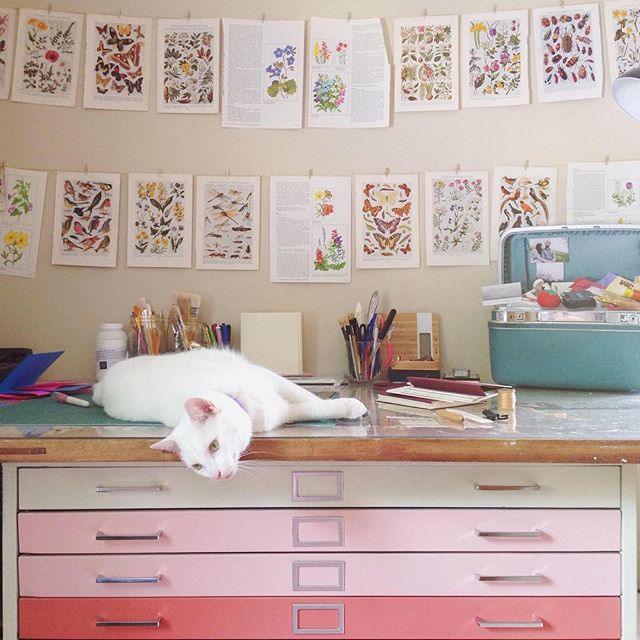 💕🐱💕 This month marks 2 years of home ownership, and I&rsquo;ve only just figured out what to do with my oddly shaped bookbinding space.
💕
Of course these pink ombr&eacute; flat files are staying, but due to space constraints, I&rsquo;m replacing 