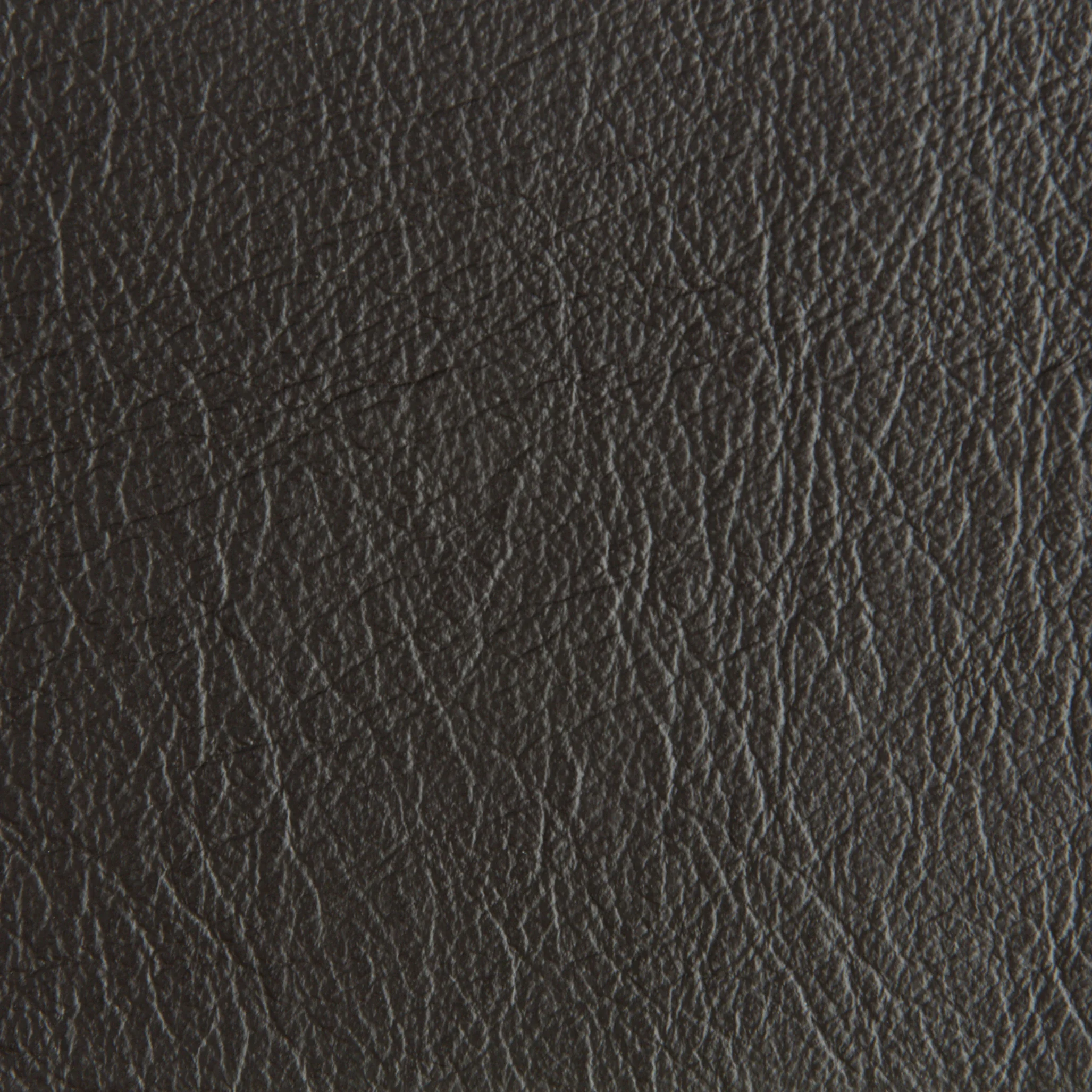 Polo Brown