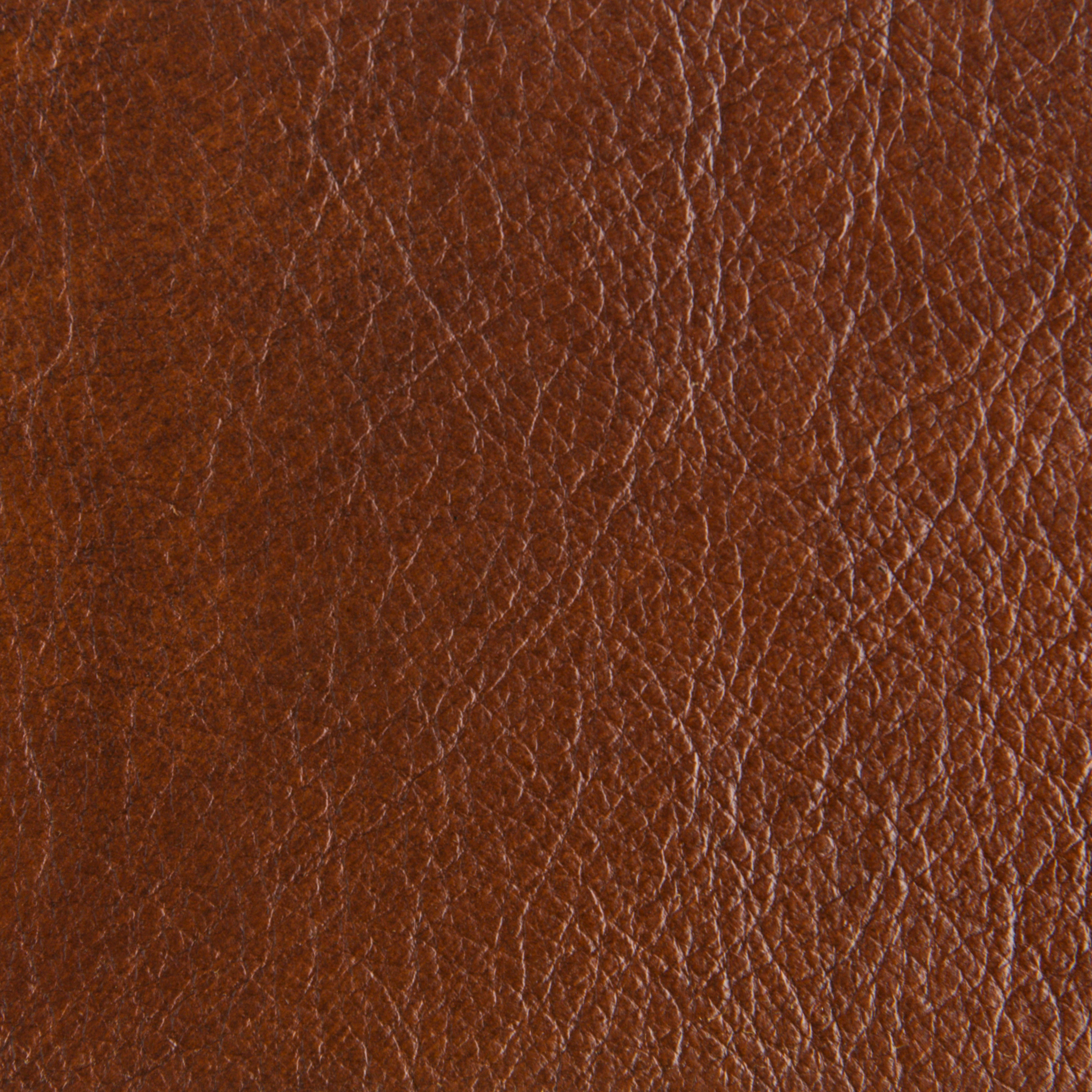 Rich Cognac