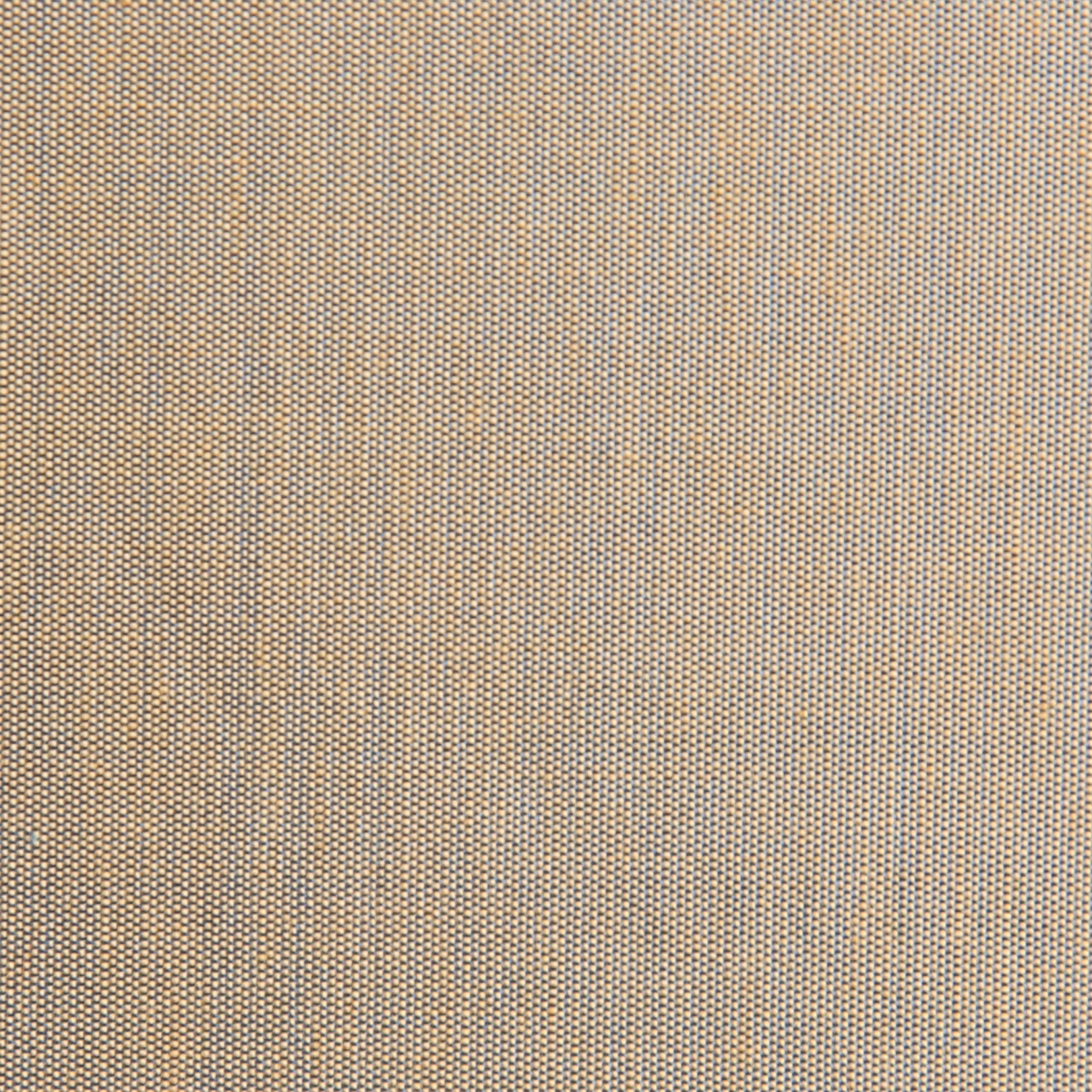 Japanese 0137