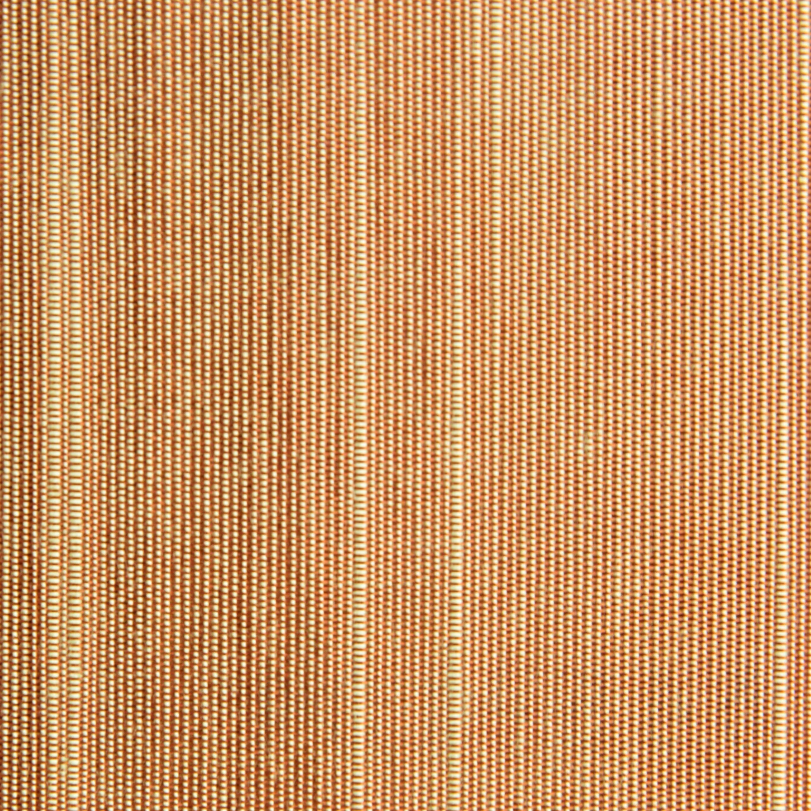 Japanese 5454124