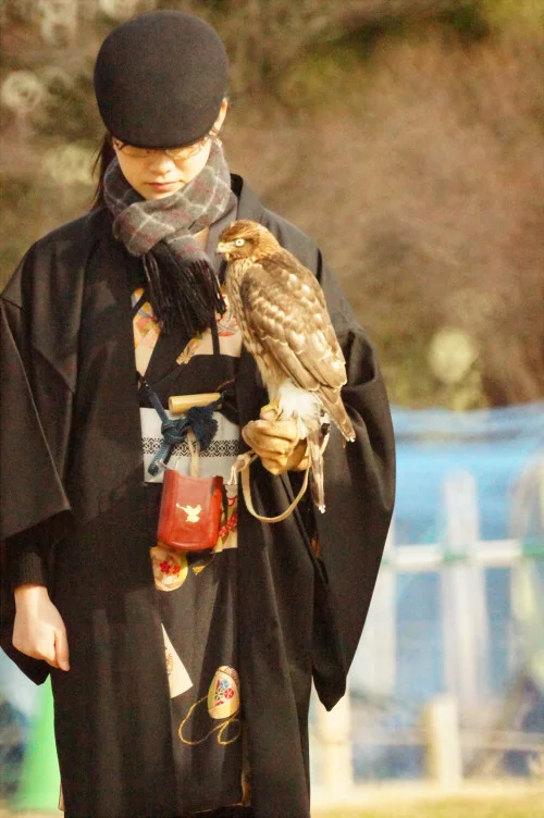 multi:

(この前見てきた鷹匠さんから)