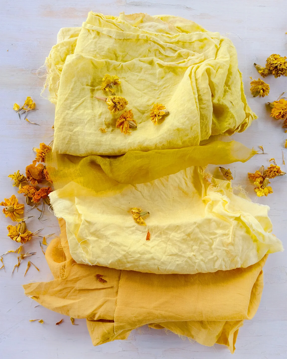 Marigold Natural Dye Kit — THOMPSON STREET STUDIO