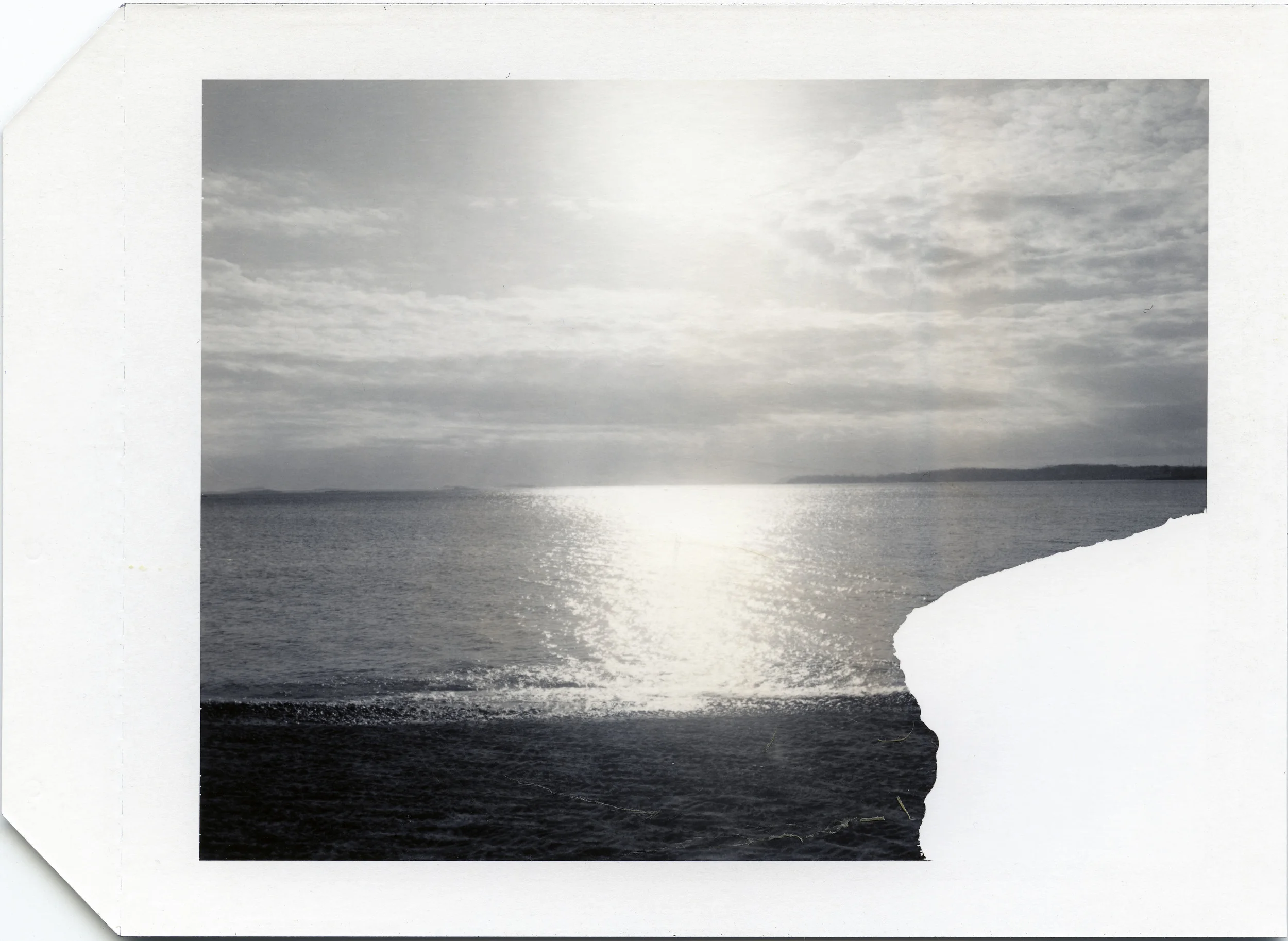 Polaroid Type 54 