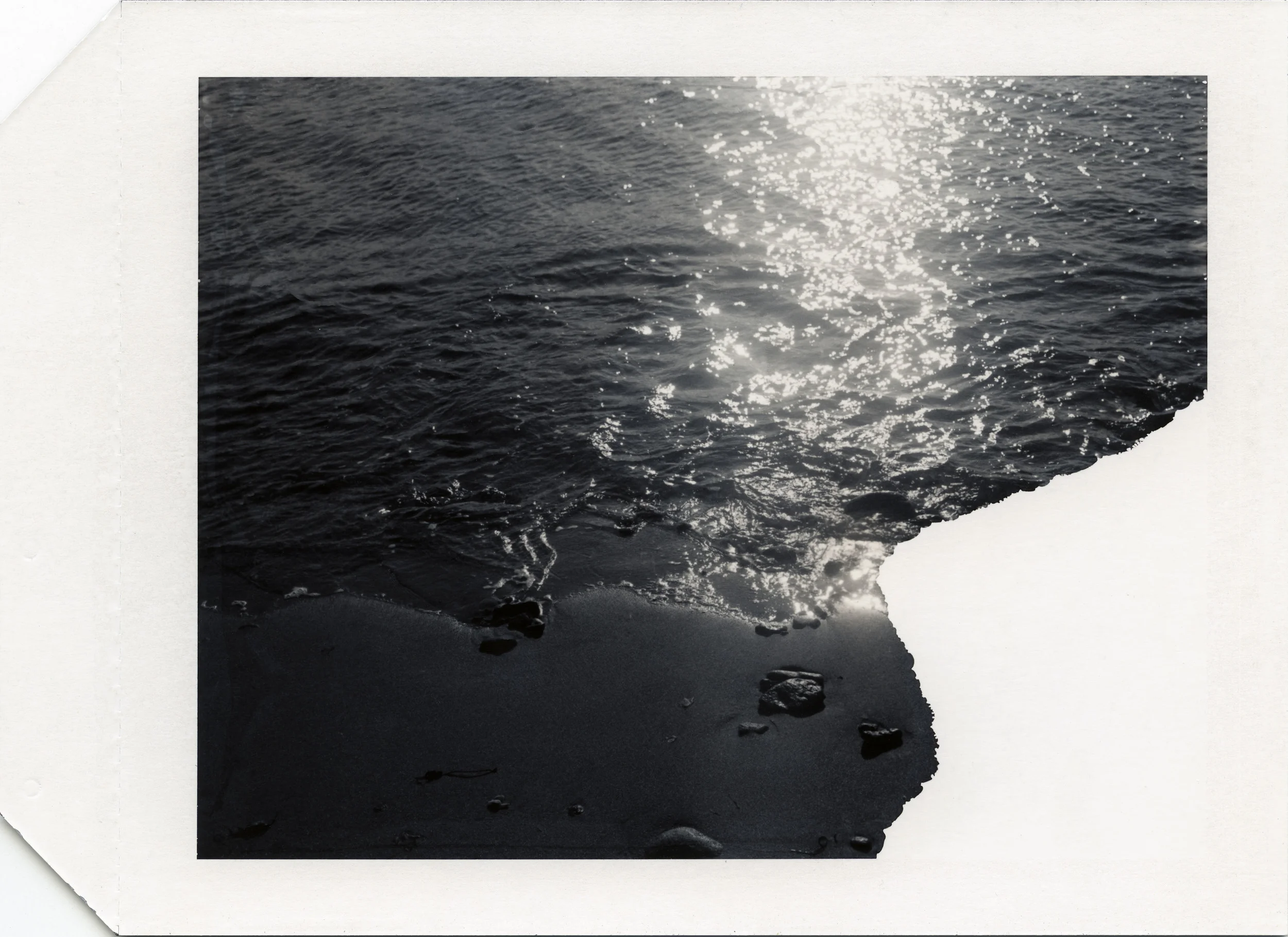 Polaroid Type 54