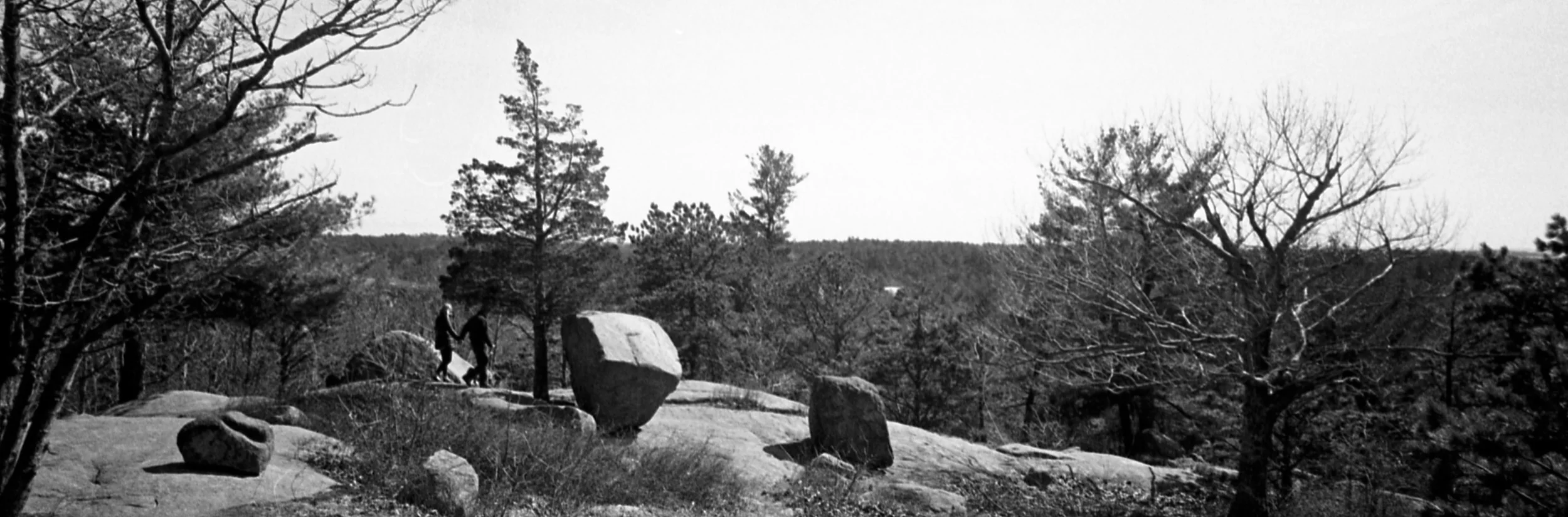 A Shot on Panorama Mode. Tri-X developed in Sprint chemistry and scanned on Epson V700