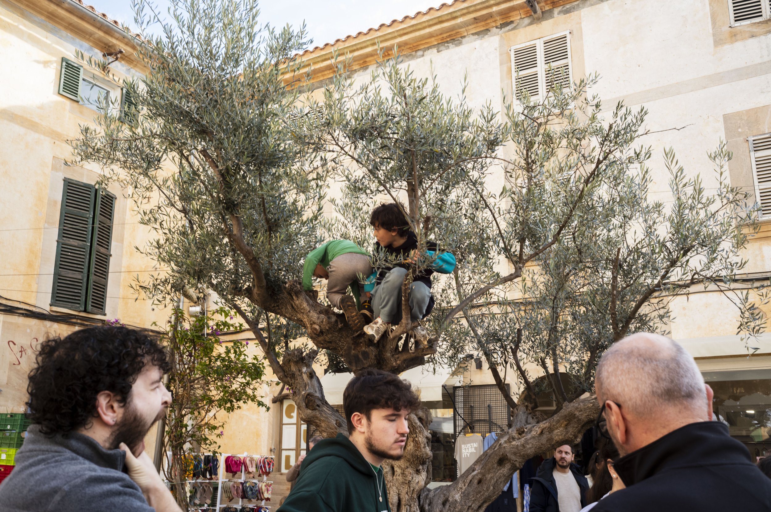 MallorcaPorreres and Cala I'Almonia -1_3_26-2026-013.JPG