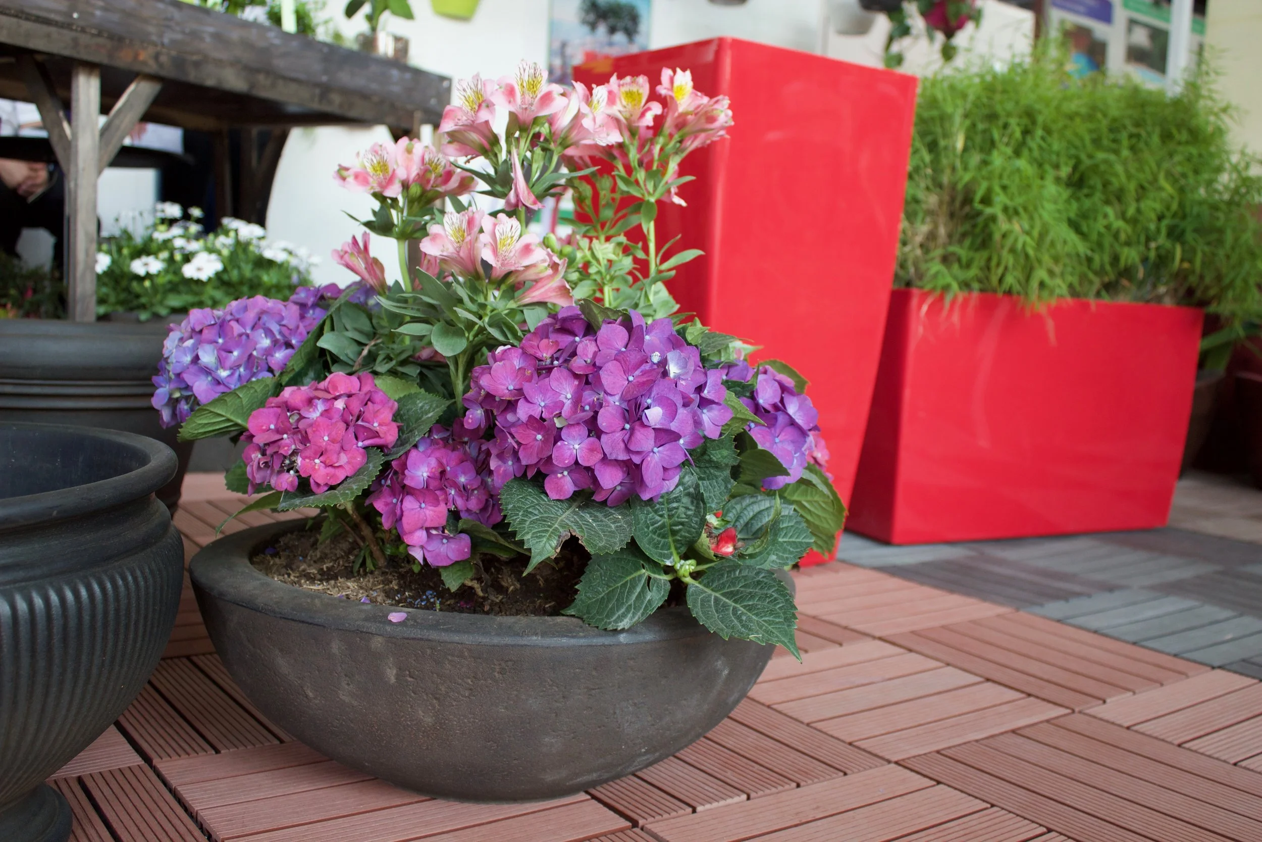 Habrá exhibición fuerte de jardinería y productos al aire libre