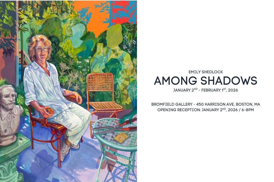 Bromfield Gallery - "Among Shadows" Solo Show - Opening Reception