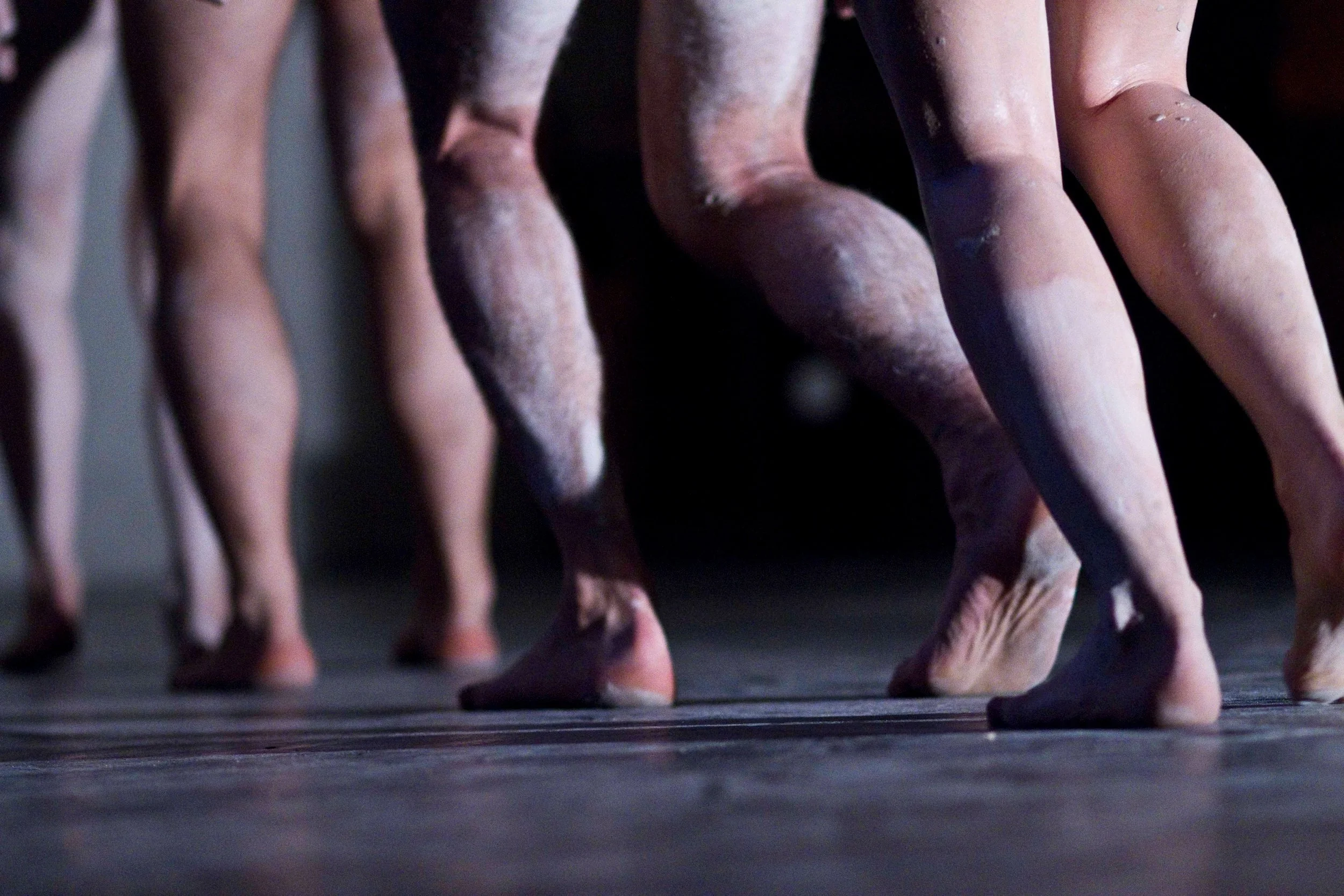 IMG_8516(edit.1) copy.jpg