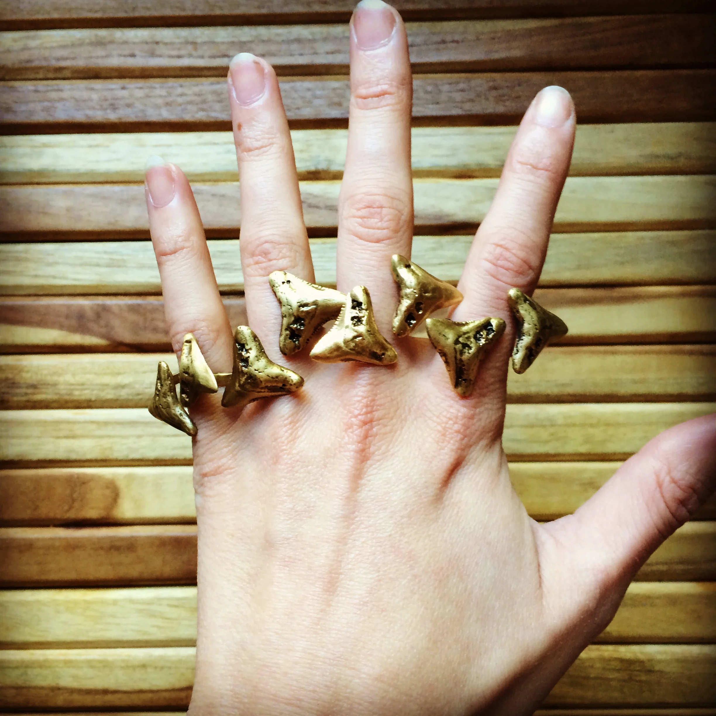 sharkrings.jpg