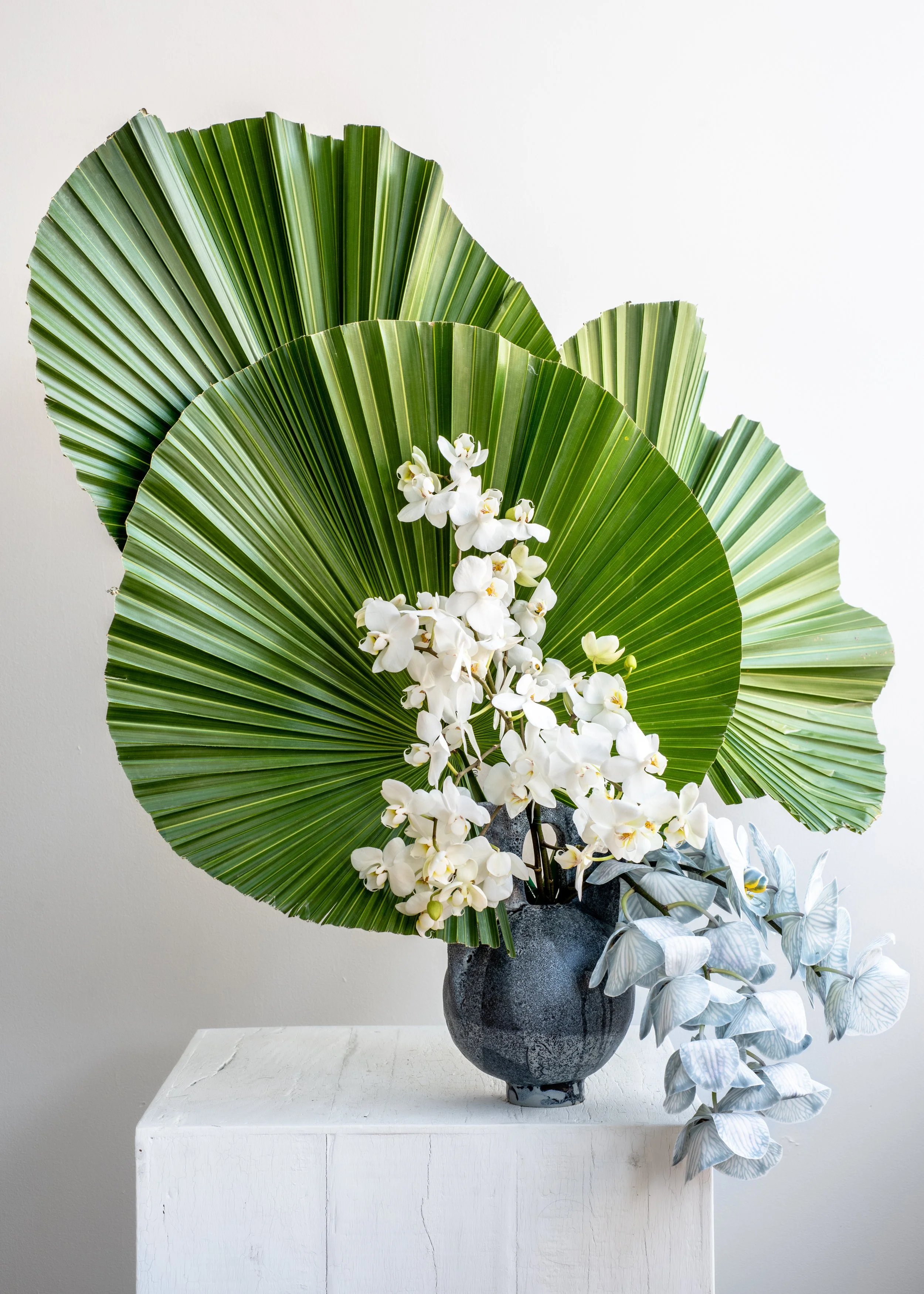 Floral-0111.jpg