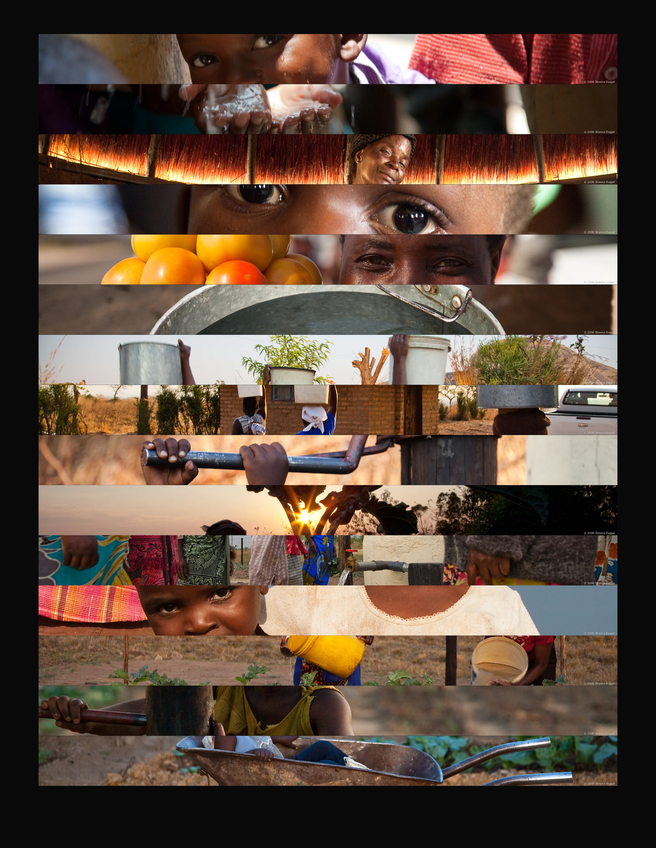 A slice of Zimbabwe