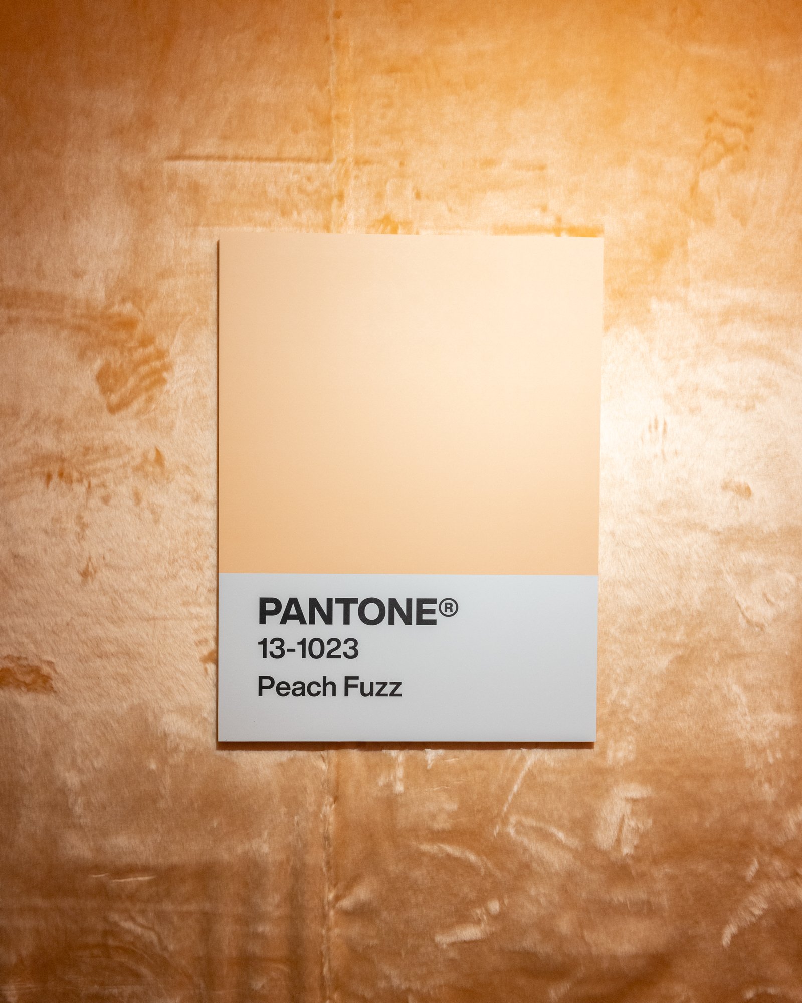 Pantone Color of The Year 