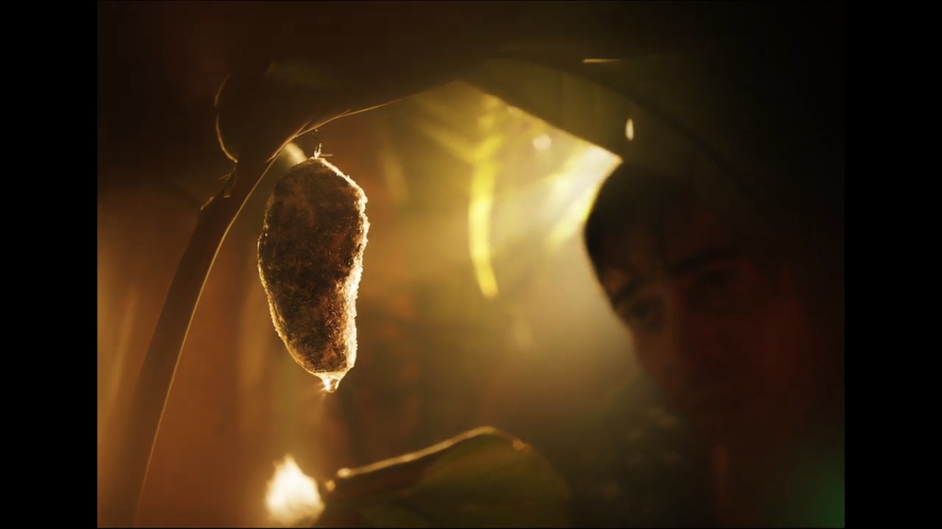 Production Design "TALIDO" (2023)