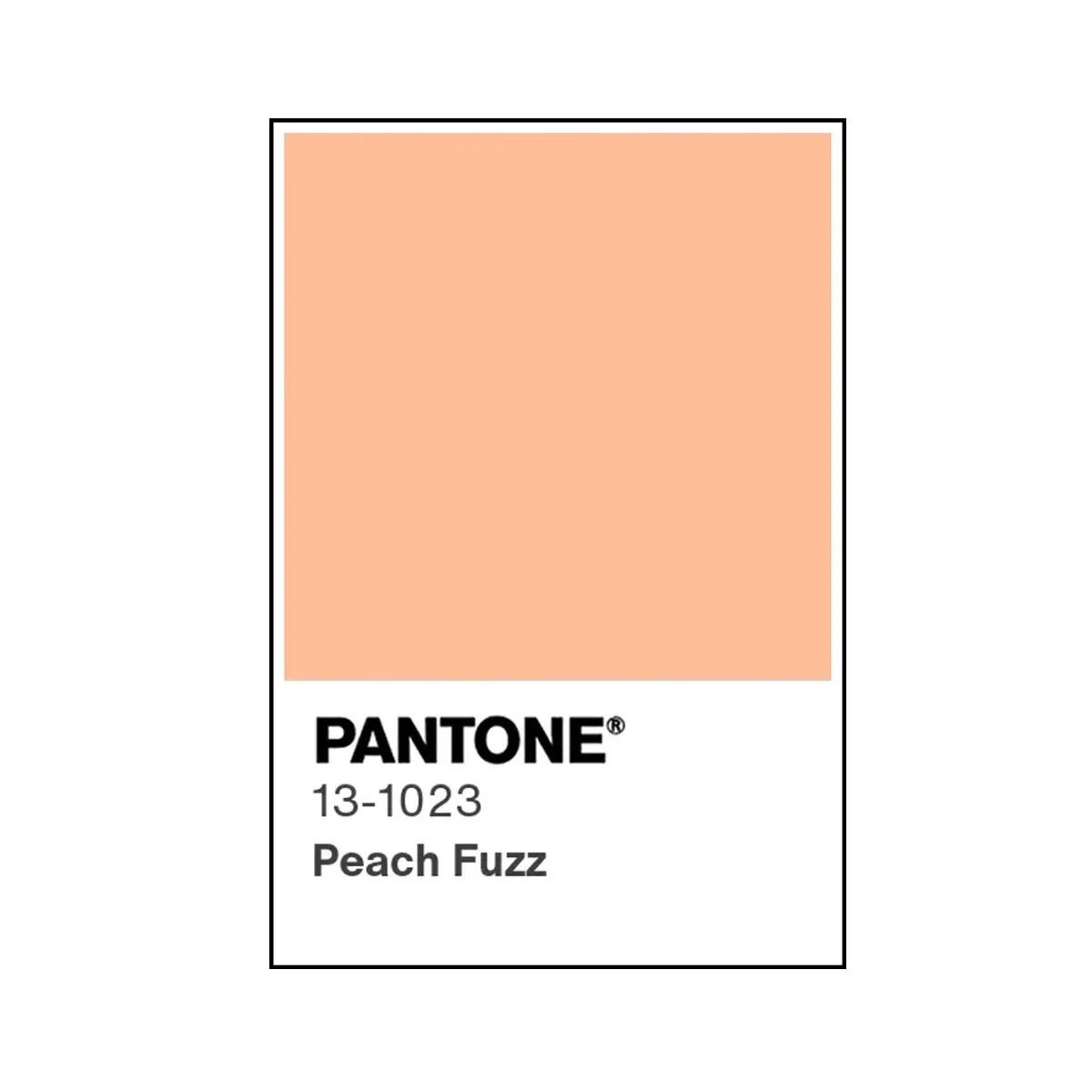 Pantone 2024 Color of The Year Event "Peach Fuzz"