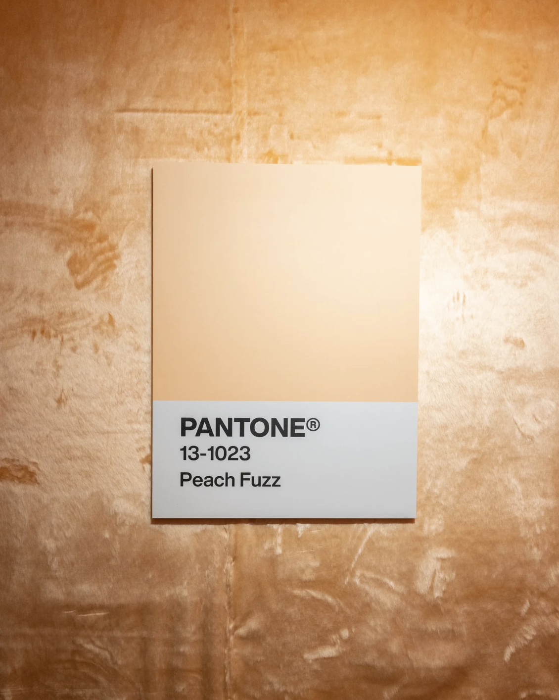 Screen Shot 2025-12-14 at 10.37.15 PM.png