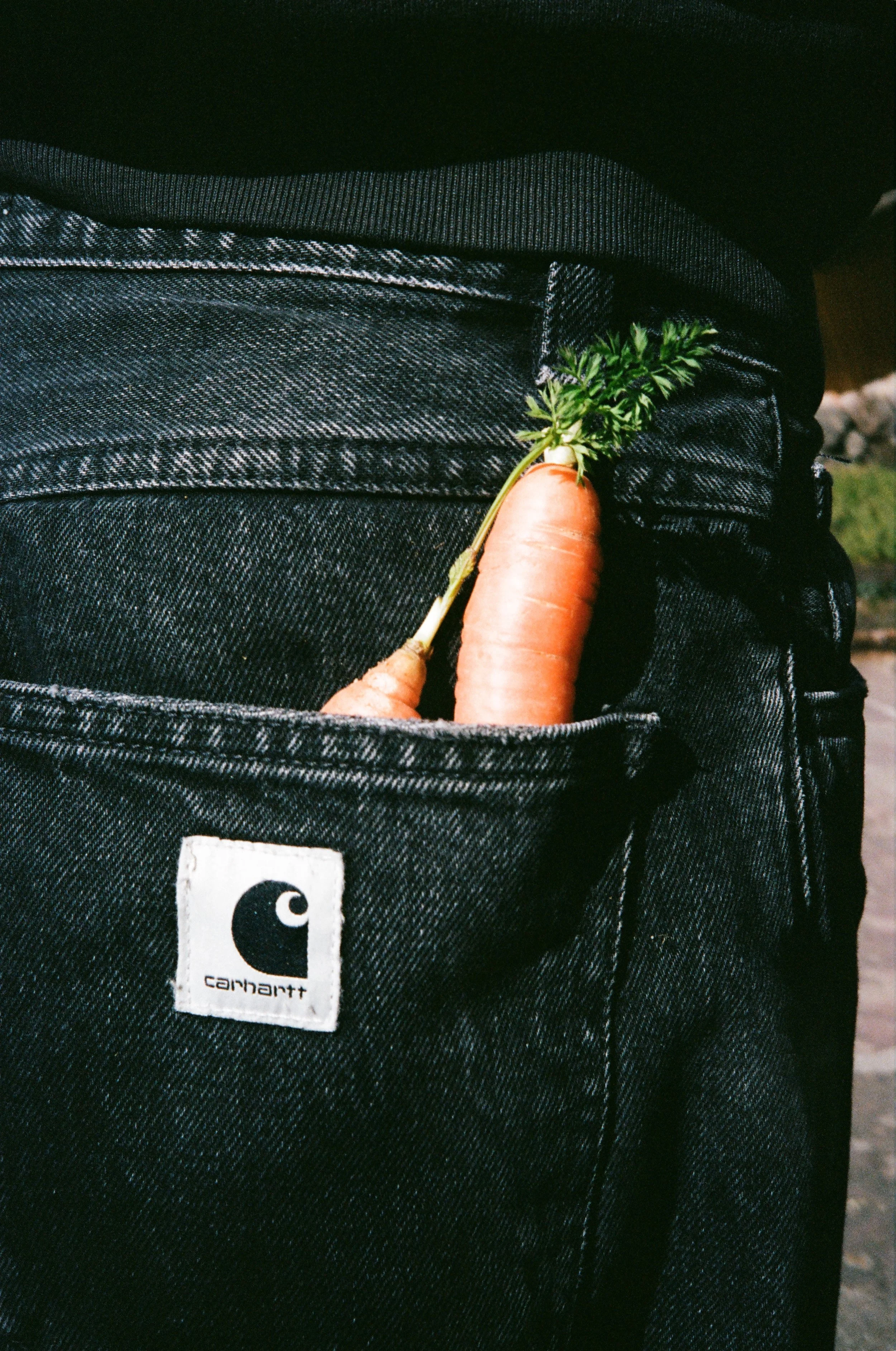 Carrothartt, Sea Ranch, CA