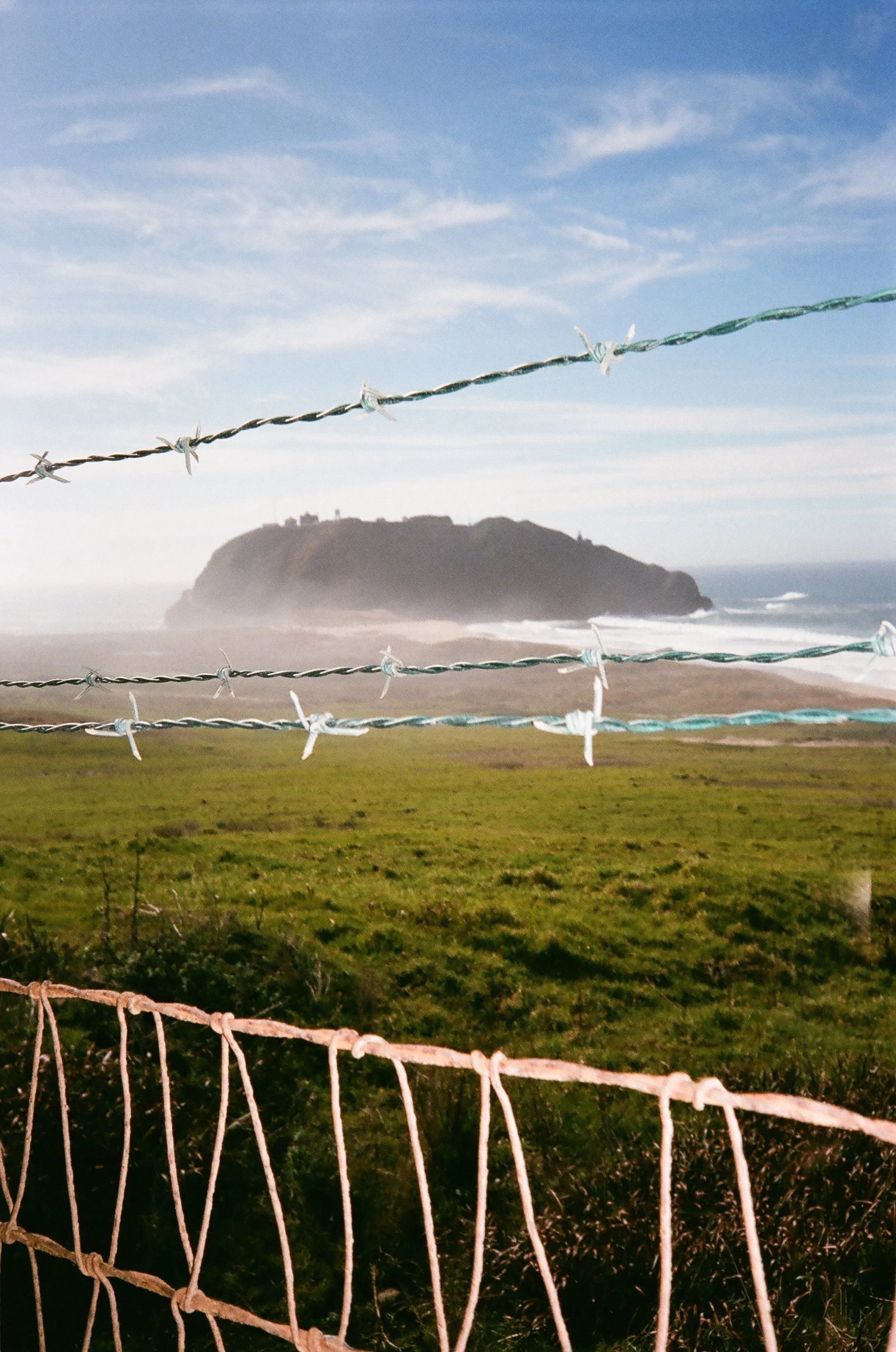 Big Sur Barbwire, California