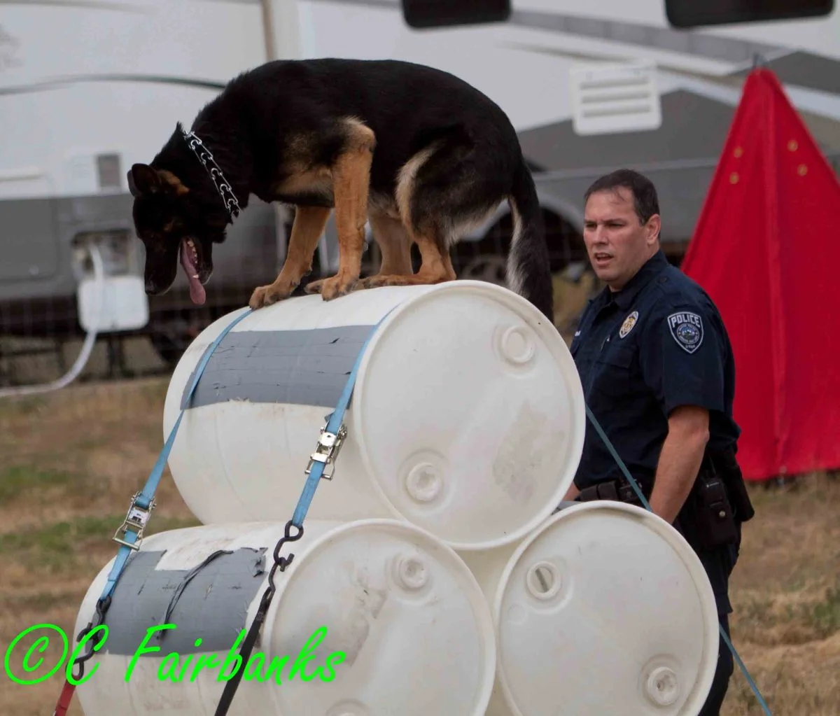 soldier hollow 2011 c 26 of 99.jpg